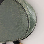 Limited Edition Dior 2019 Beaded Python Mini Saddle with Dior Guitar Strap - FashioNica