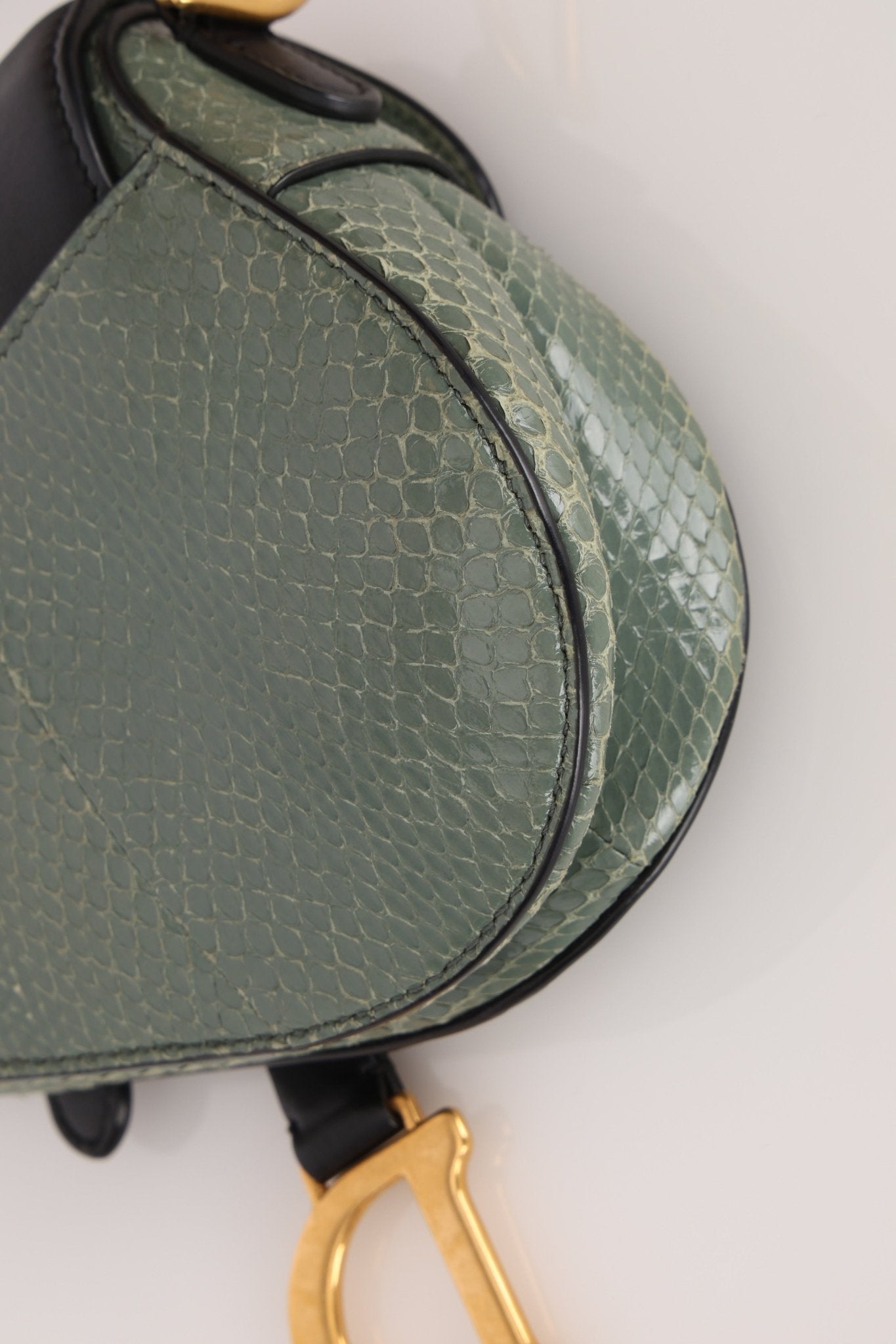 Limited Edition Dior 2019 Beaded Python Mini Saddle with Dior Guitar Strap - FashioNica