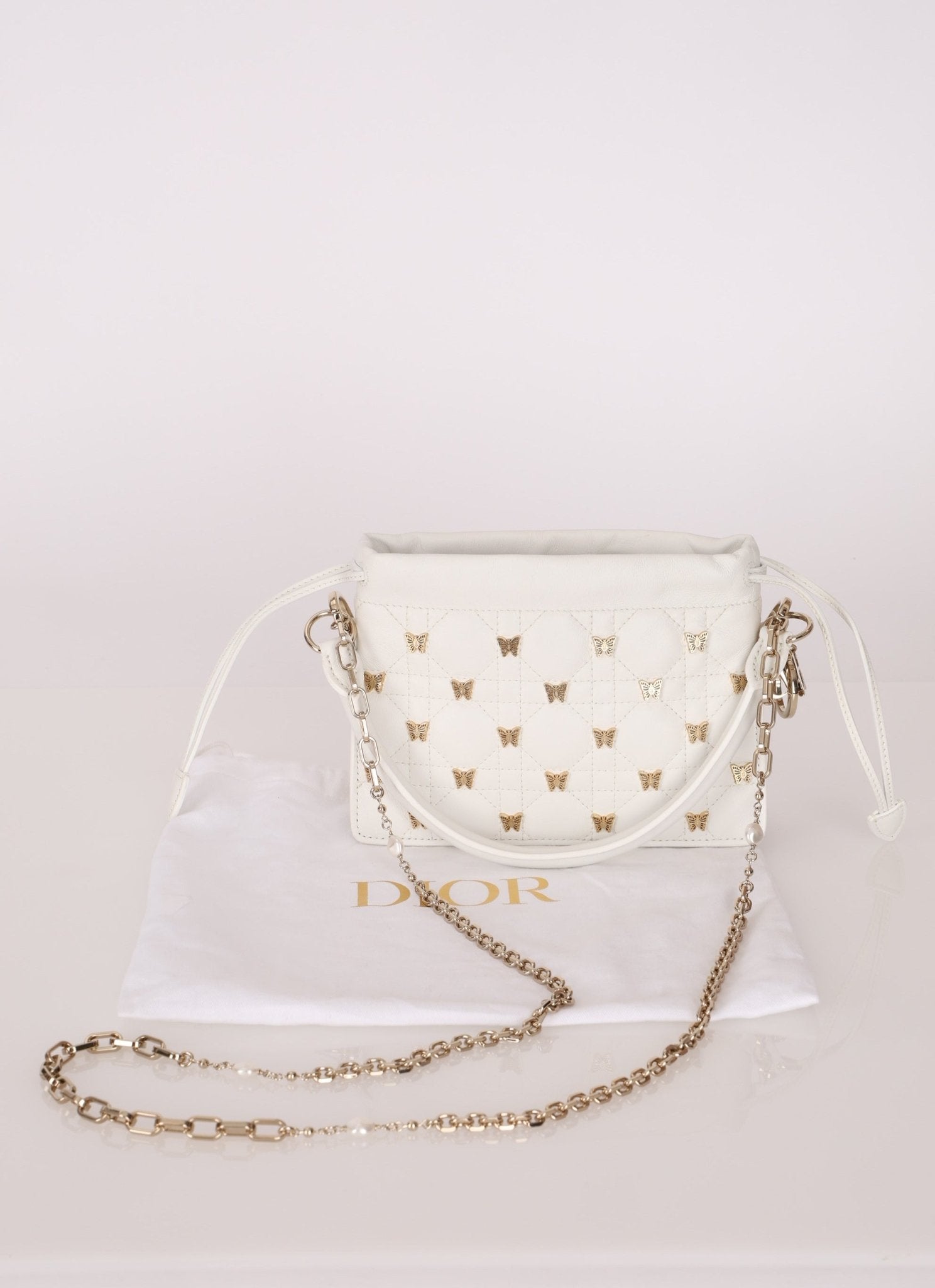 Limited Edition Dior 2023 Butterfly Lady Milly Mini Bag - FashioNica