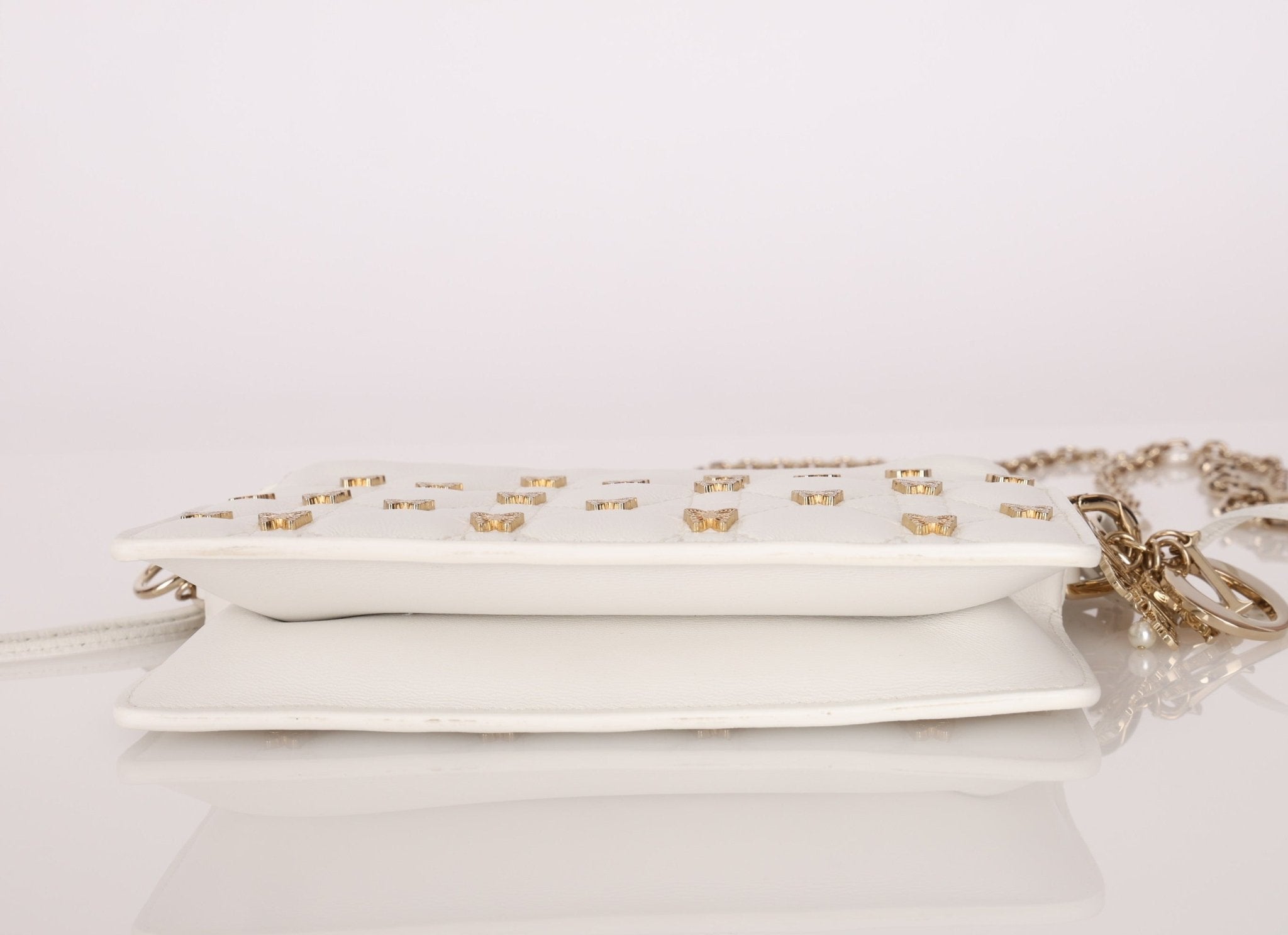 Limited Edition Dior 2023 Butterfly Lady Milly Mini Bag - FashioNica