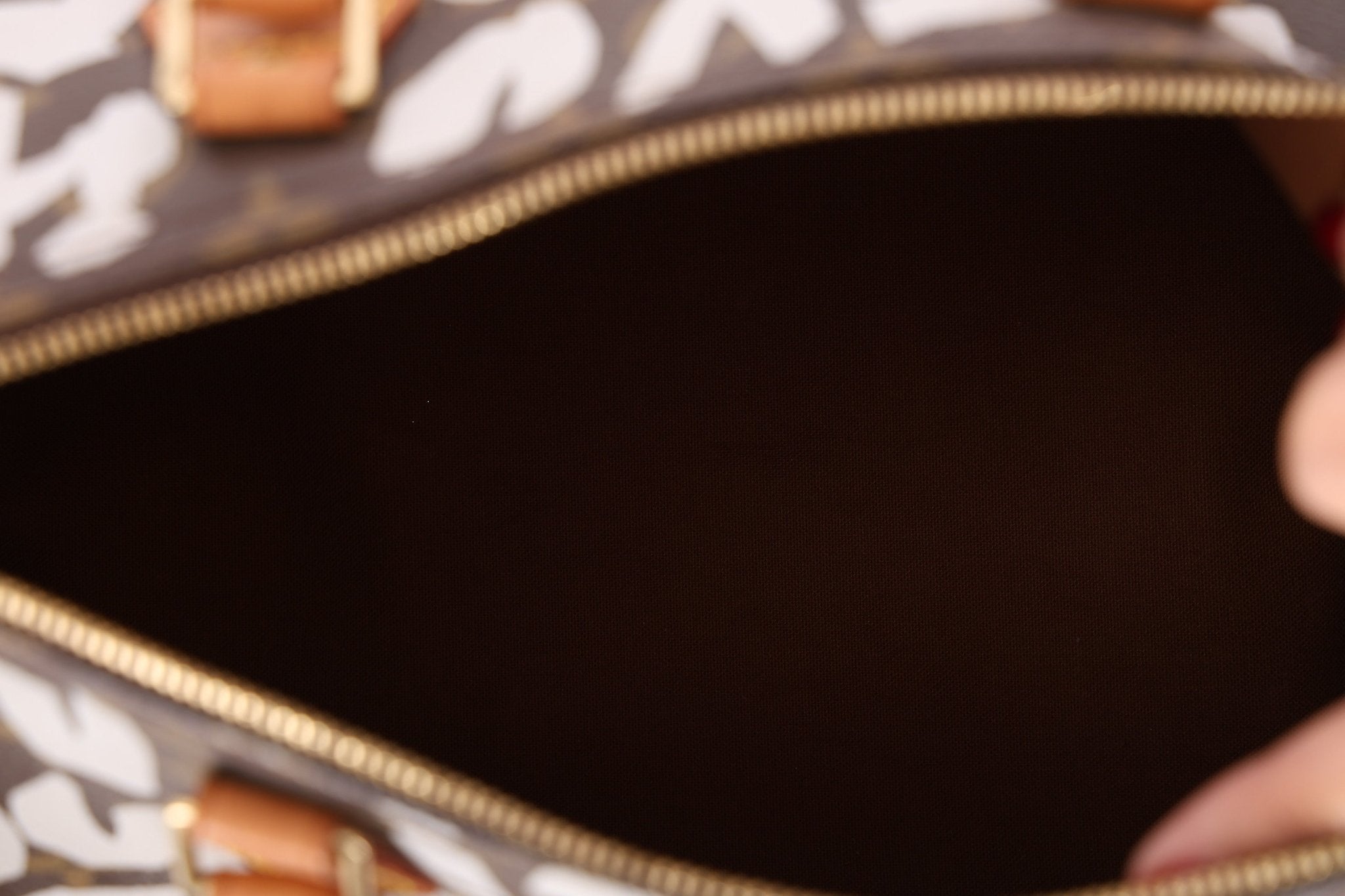 Limited Edition Louis Vuitton 2001 Stephen Sprouse Graffiti Speedy 30 - FashioNica