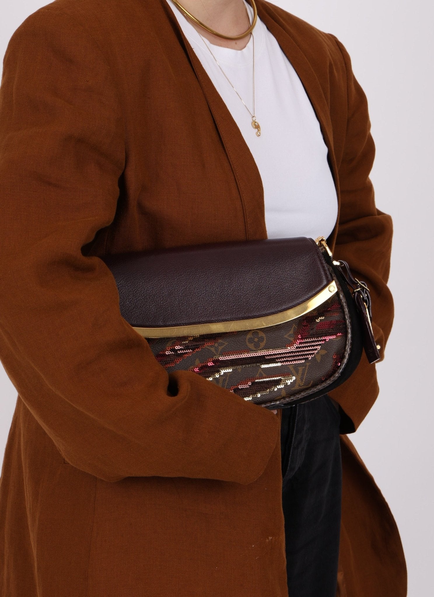 Limited Edition Louis Vuitton Monogram Sauvage Sequin Tiger Clutch - FashioNica