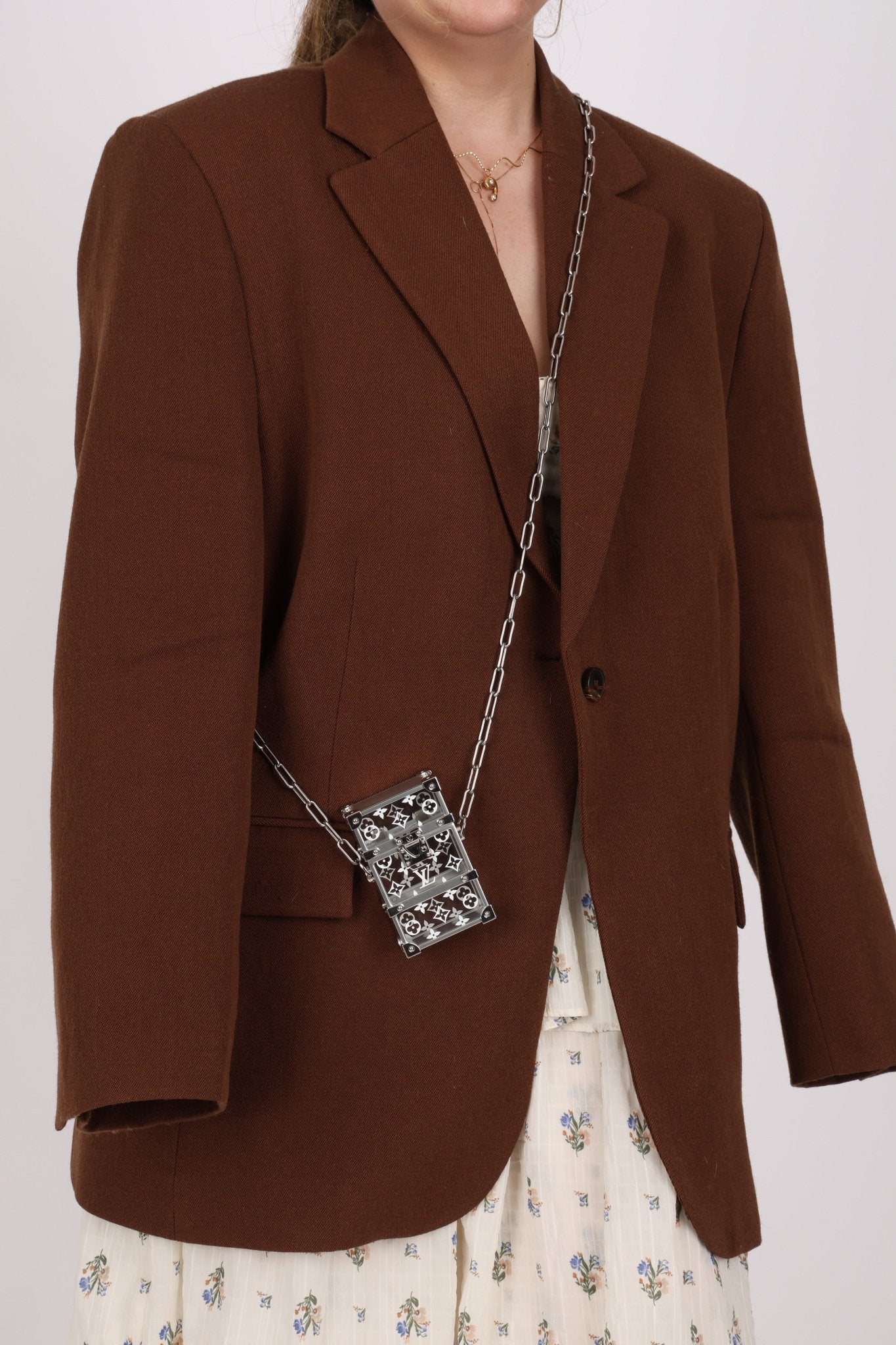 Limited Edition Louis Vuitton Monogram Transparent Plexiglass Trunk Crossbody - FashioNica