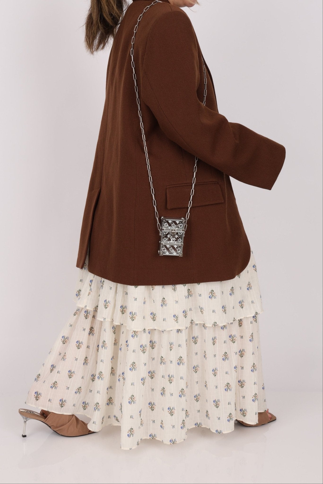 Limited Edition Louis Vuitton Monogram Transparent Plexiglass Trunk Crossbody - FashioNica