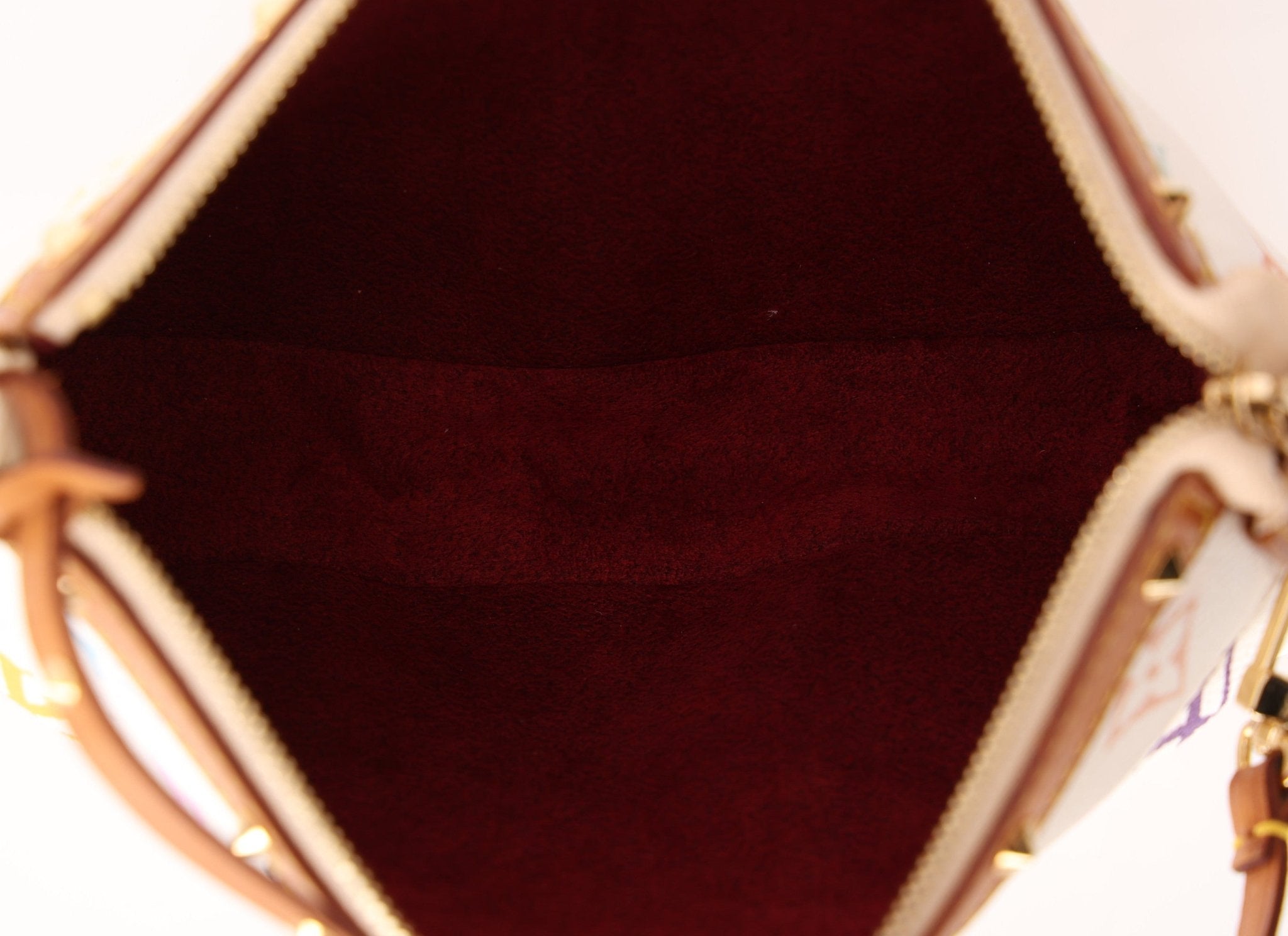 Limited Edition Louis Vuitton x Takashi Murakami Blanc Multicolor Pochette - FashioNica