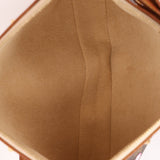 Limited Edition Louis Vuitton x Takashi Murakami Cherry Blossom Pochette - FashioNica