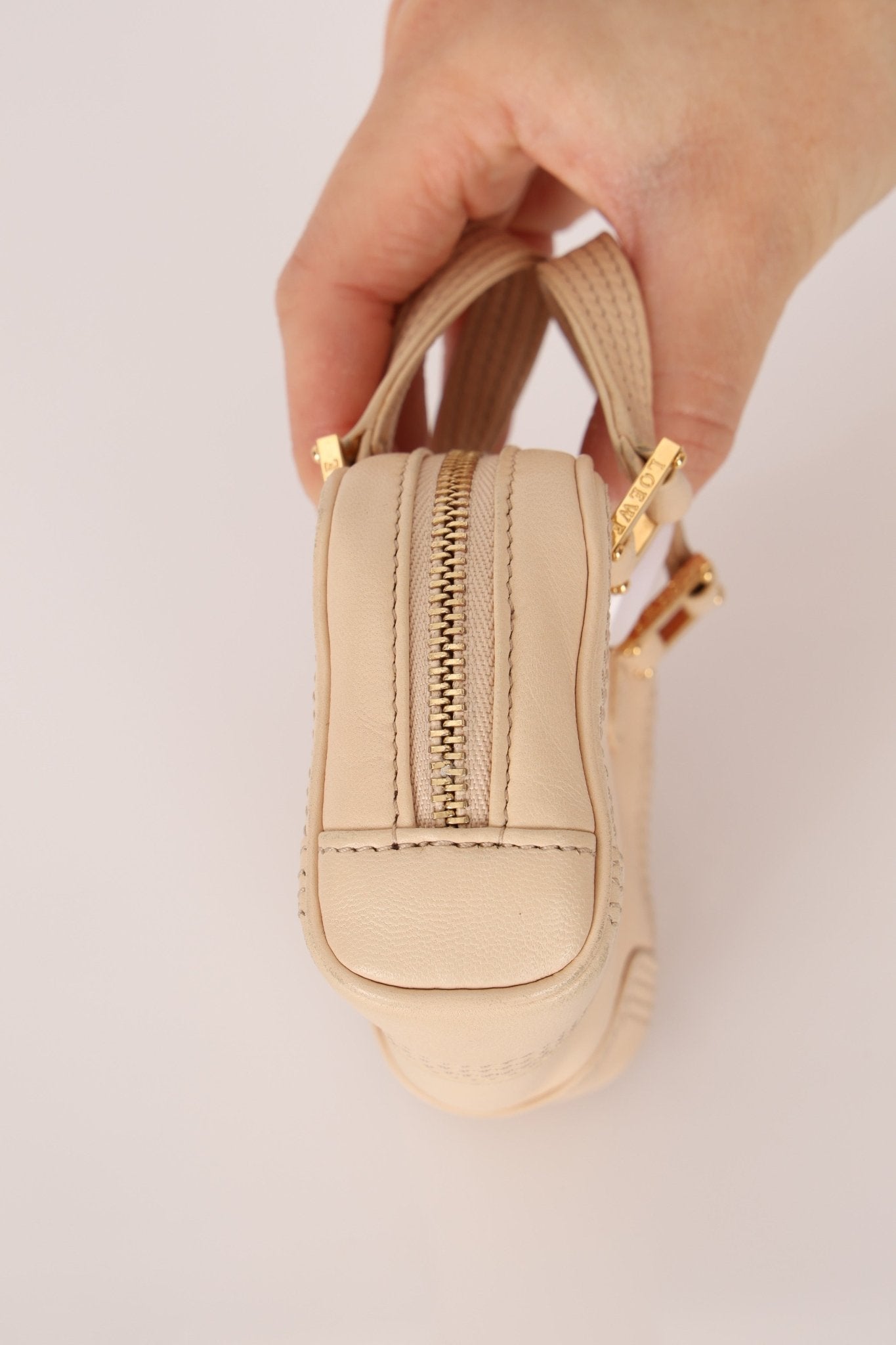 Loewe Leather Micro Amazona - FashioNica