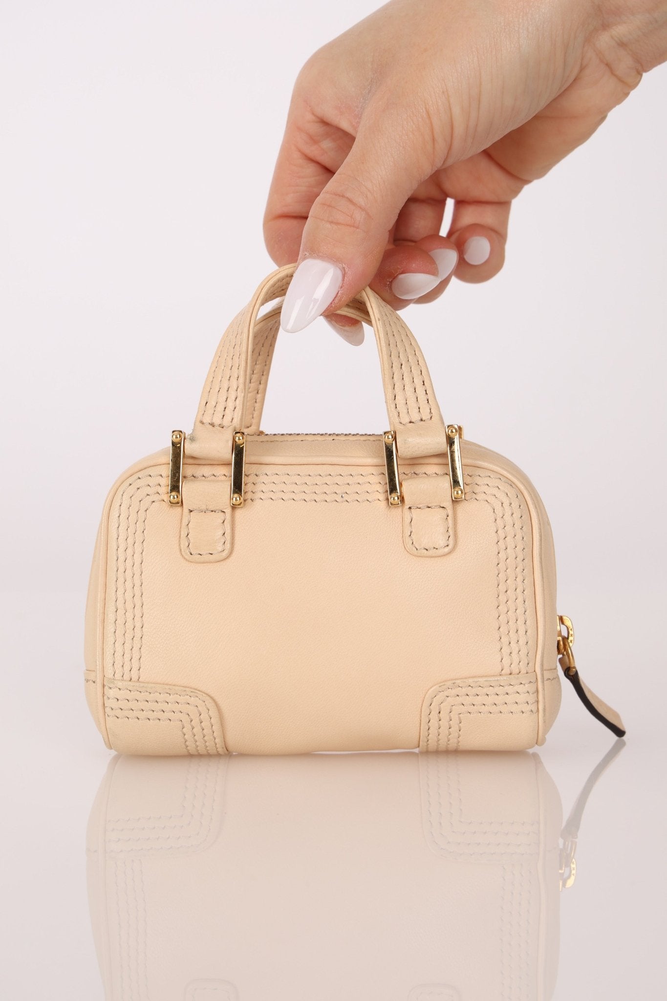 Loewe Leather Micro Amazona - FashioNica