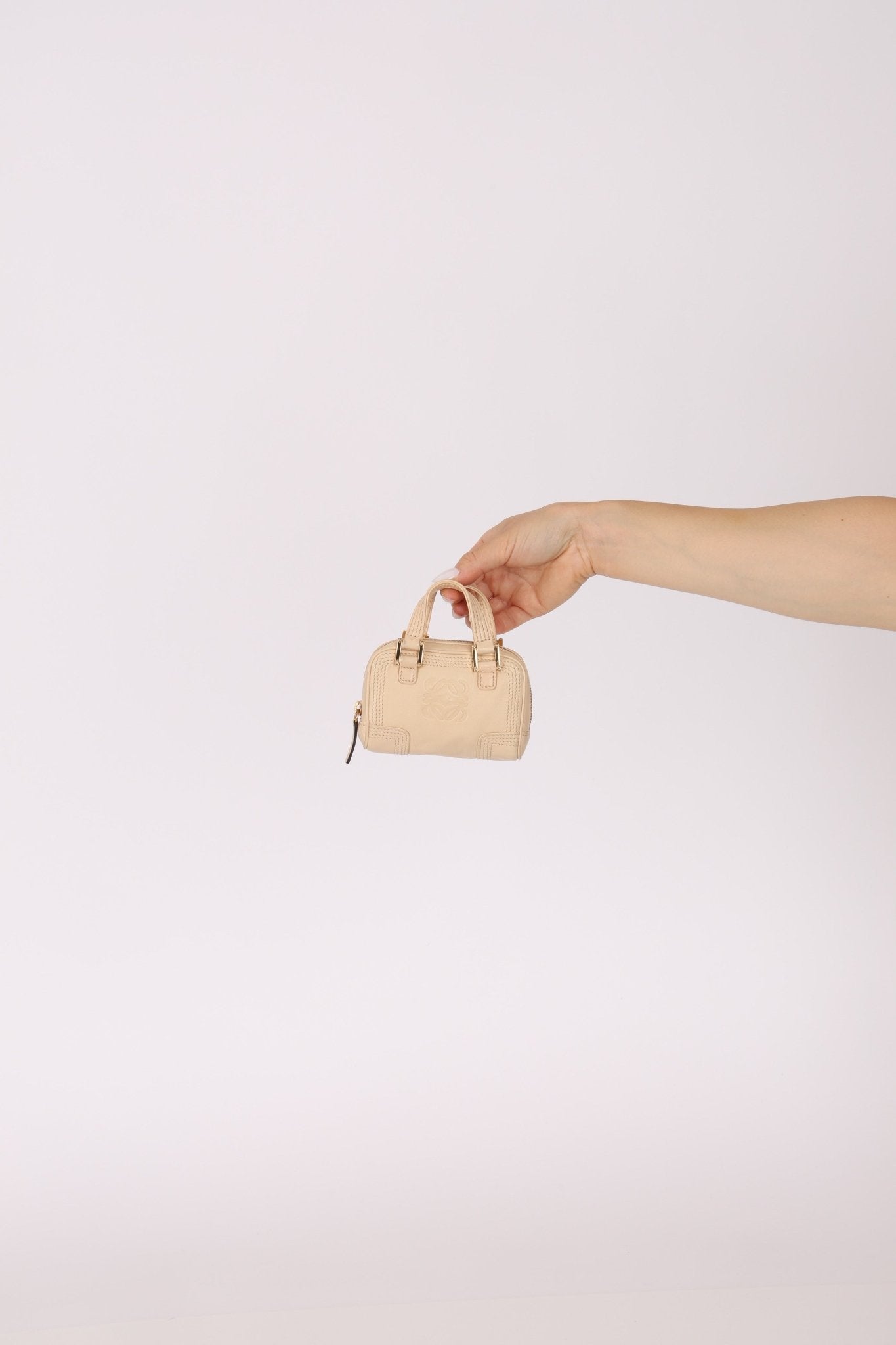 Loewe Leather Micro Amazona - FashioNica