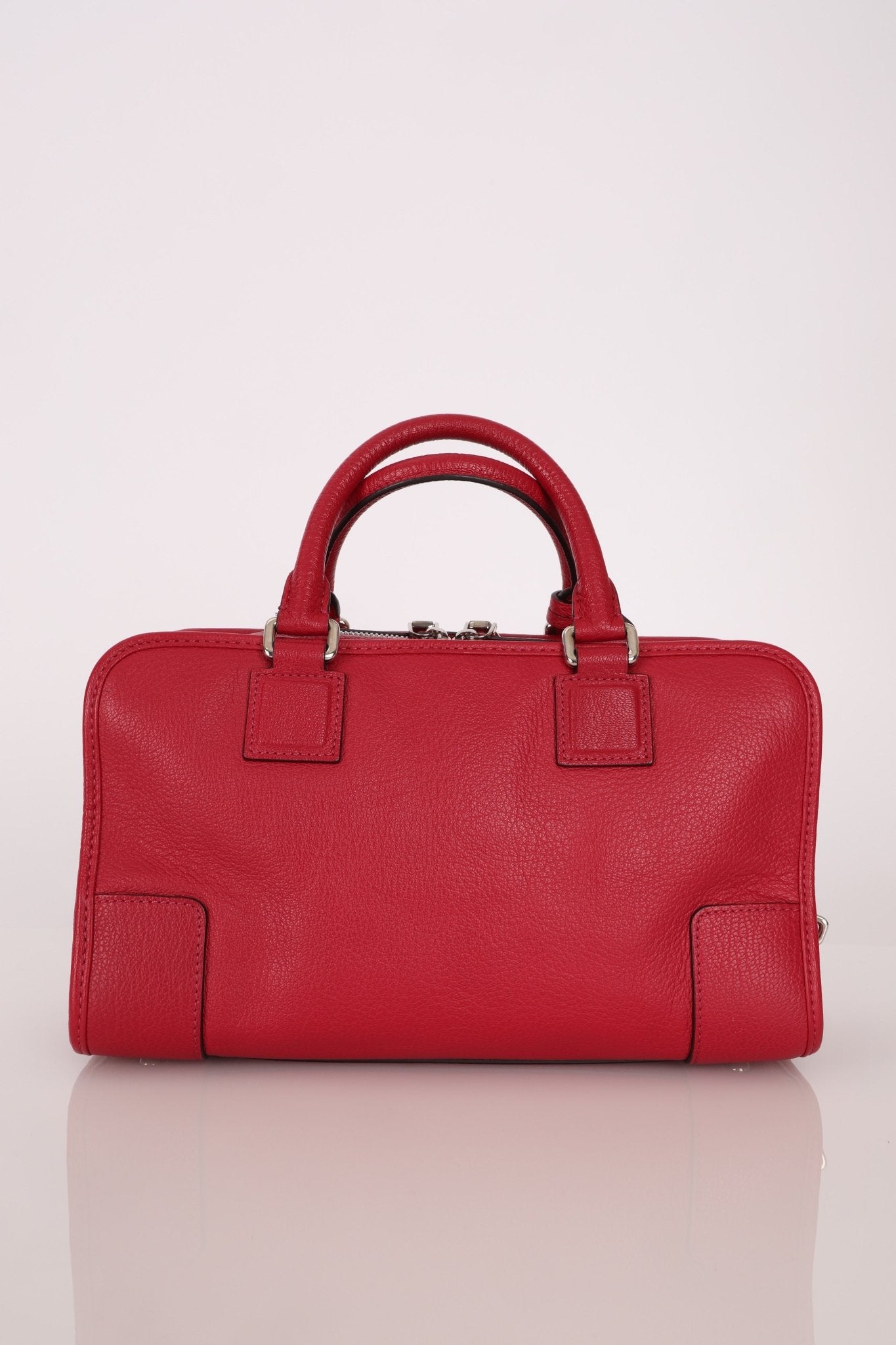 Loewe Leather Raspberry Amazona 28 - FashioNica