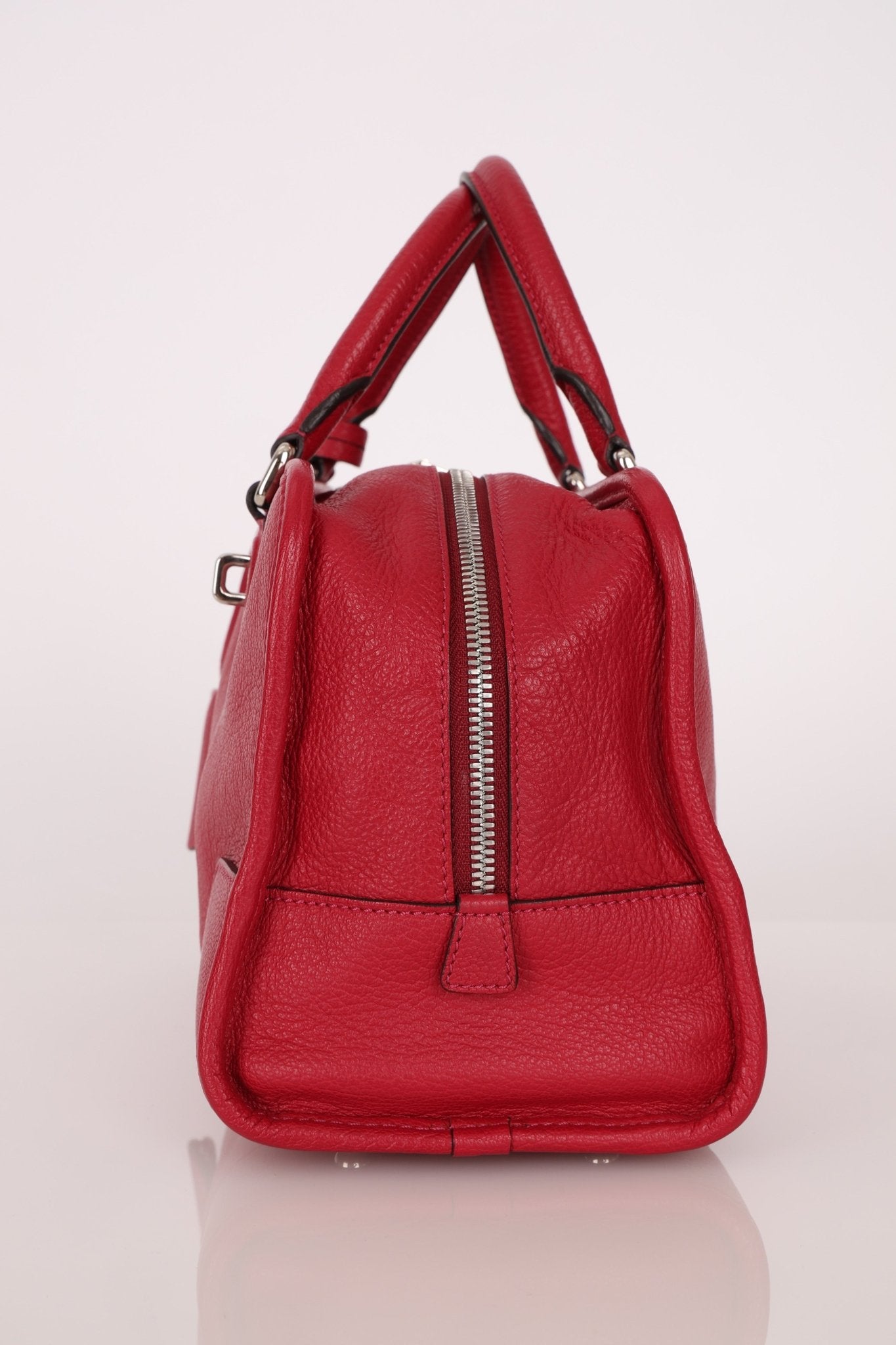 Loewe Leather Raspberry Amazona 28 - FashioNica