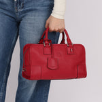 Loewe Leather Raspberry Amazona 28 - FashioNica