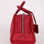 Loewe Leather Raspberry Amazona 28 - FashioNica