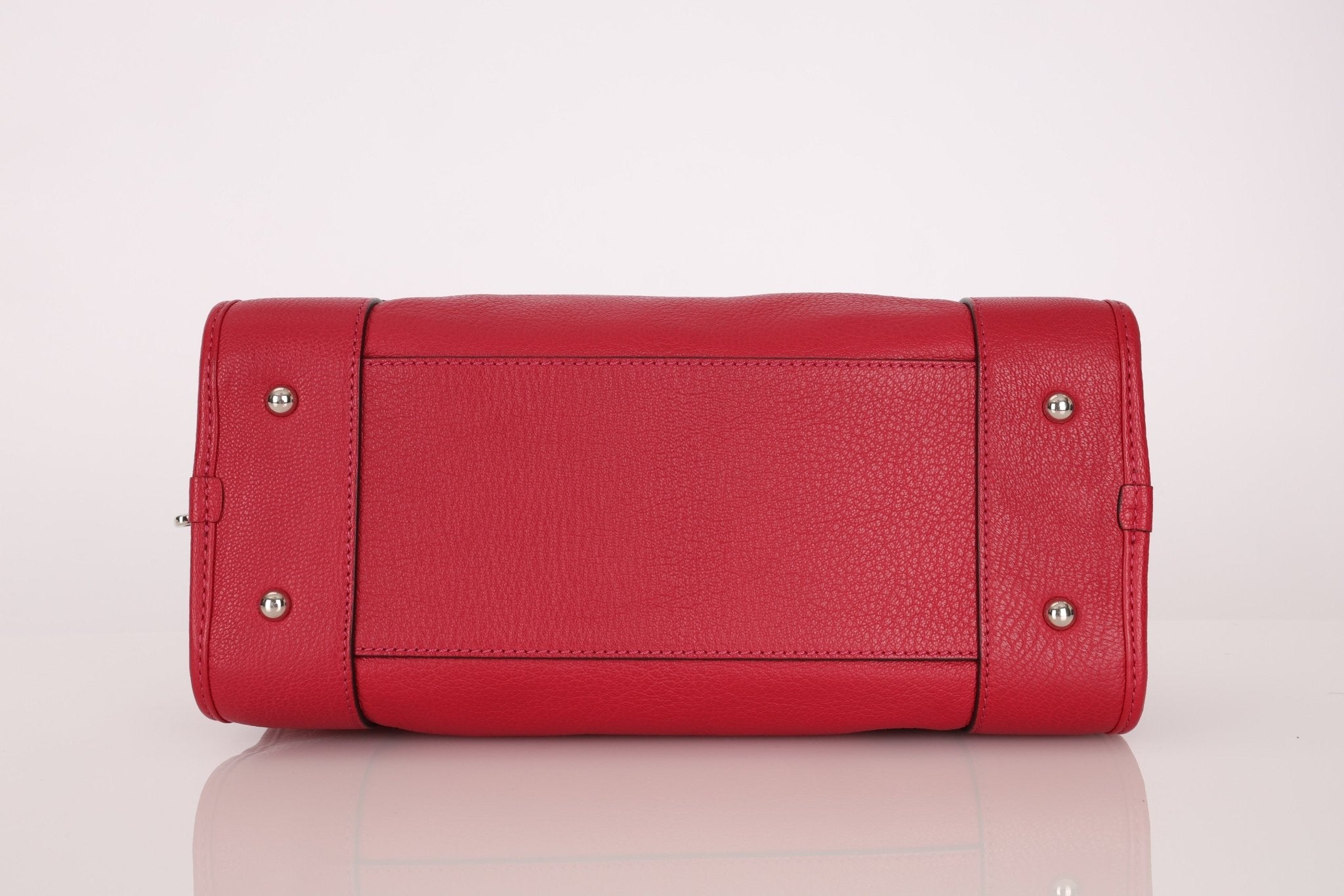 Loewe Leather Raspberry Amazona 28 - FashioNica