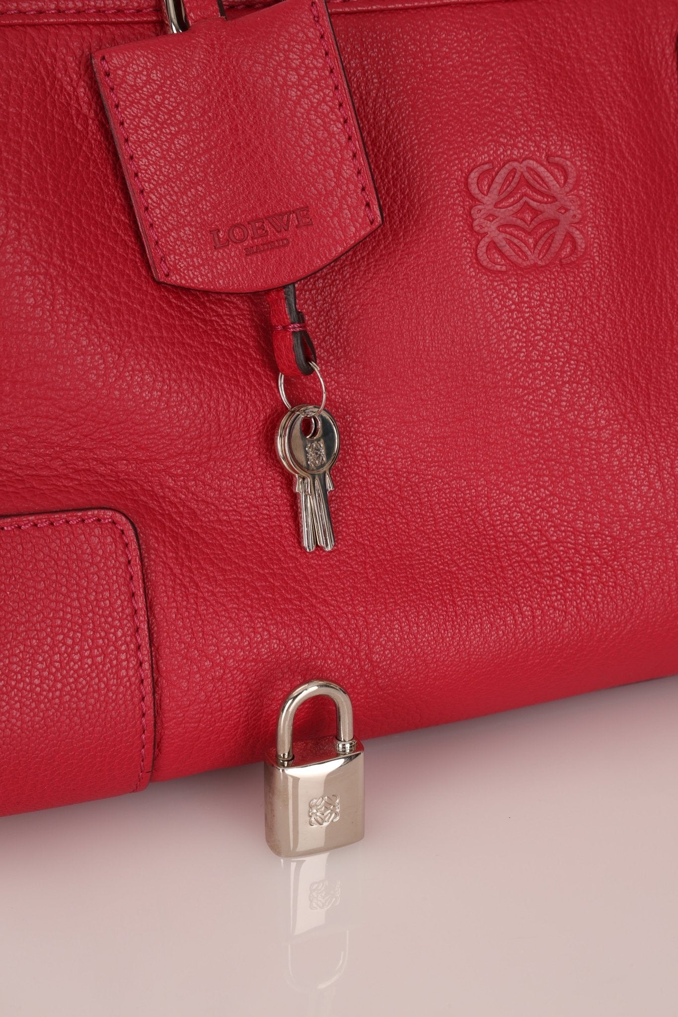 Loewe Leather Raspberry Amazona 28 - FashioNica
