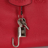 Loewe Leather Raspberry Amazona 28 - FashioNica