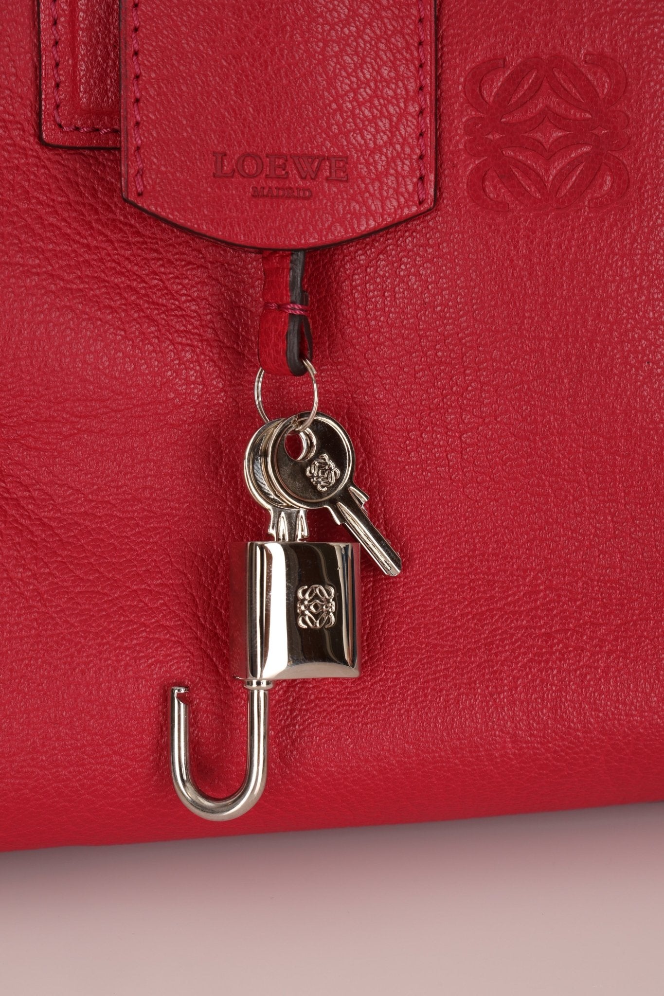 Loewe Leather Raspberry Amazona 28 - FashioNica