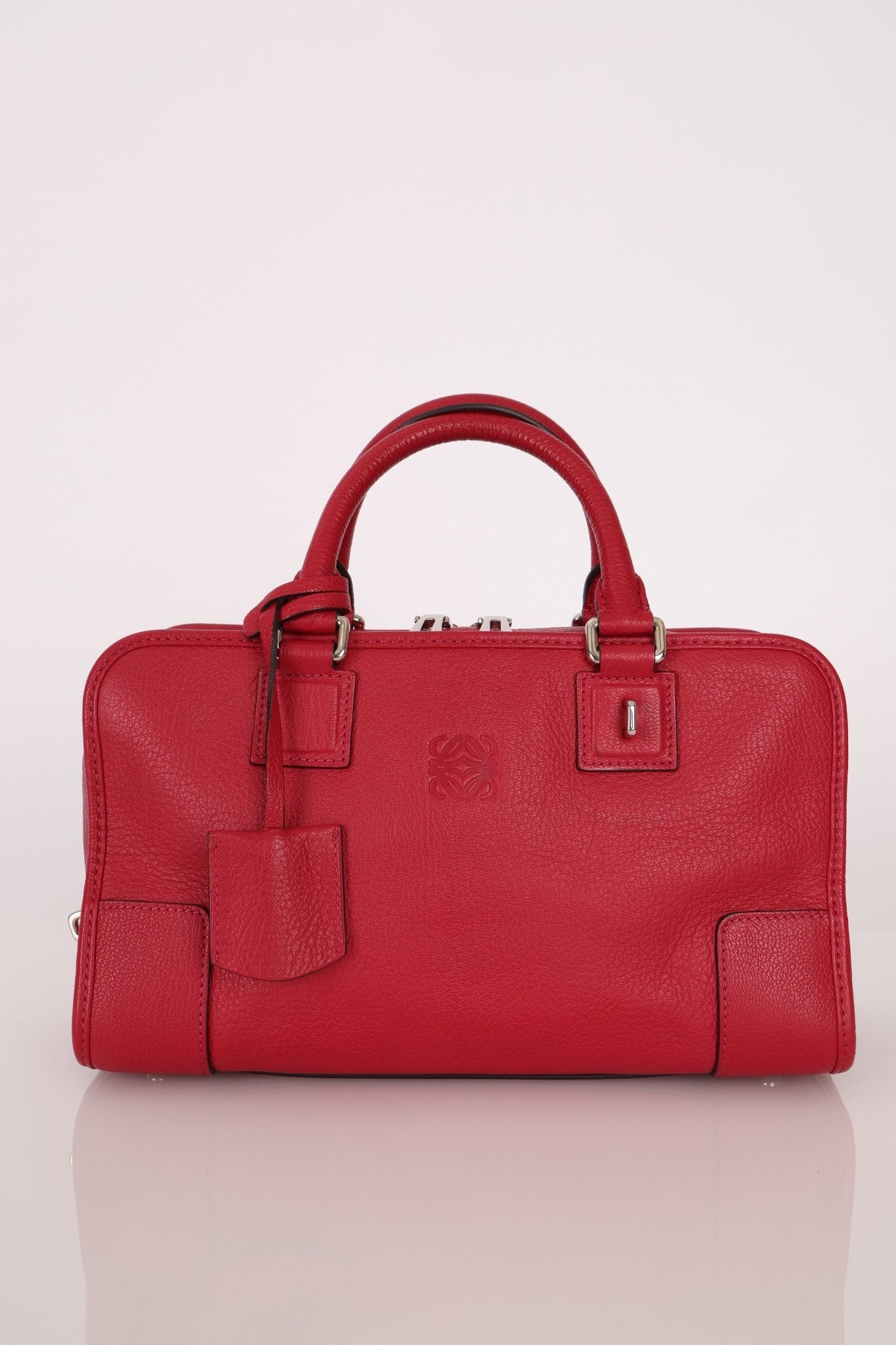 Loewe Leather Raspberry Amazona 28 - FashioNica