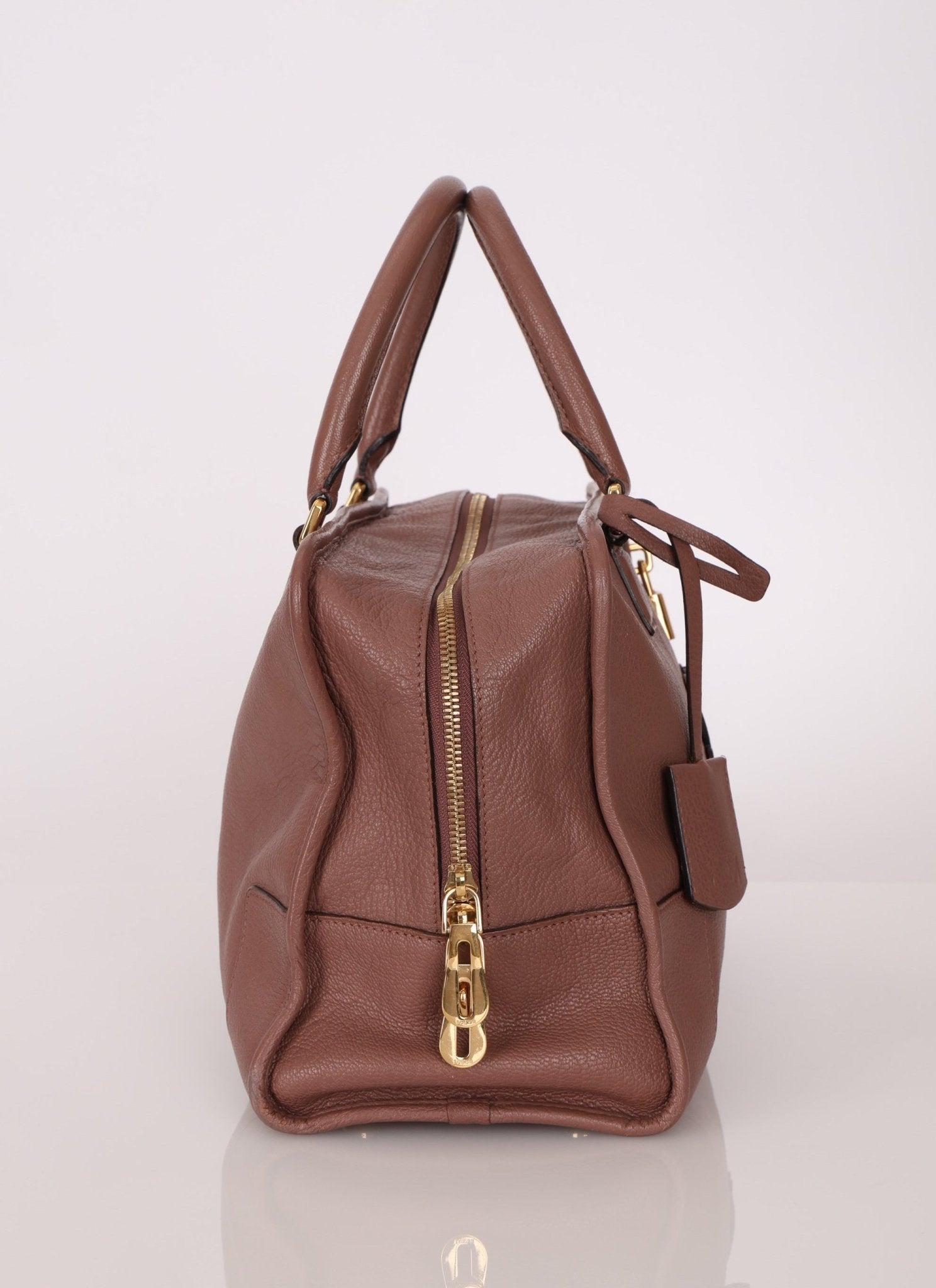 Loewe Mauve Amazona Bag 36 - FashioNica