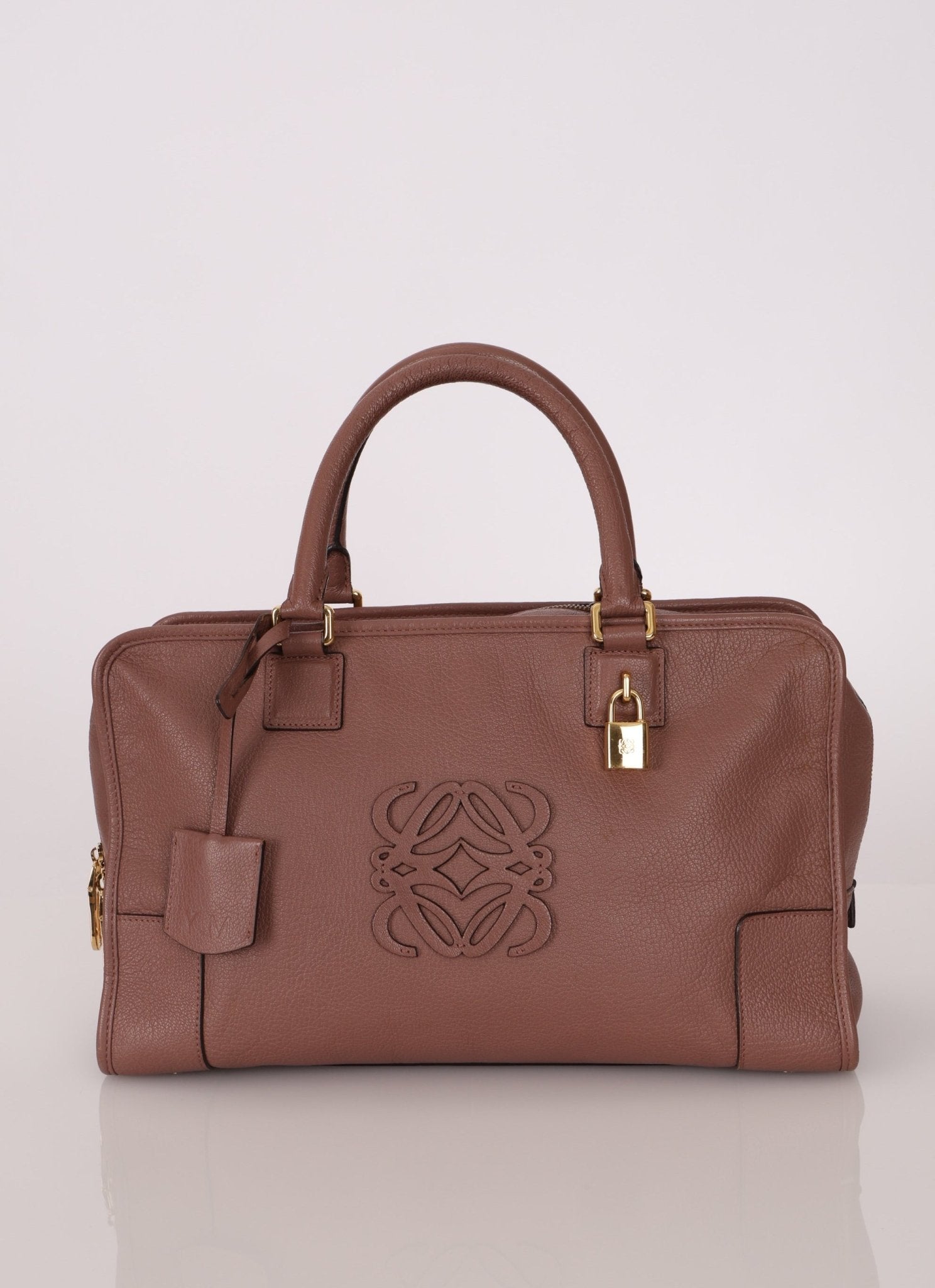 Loewe Mauve Amazona Bag 36 - FashioNica