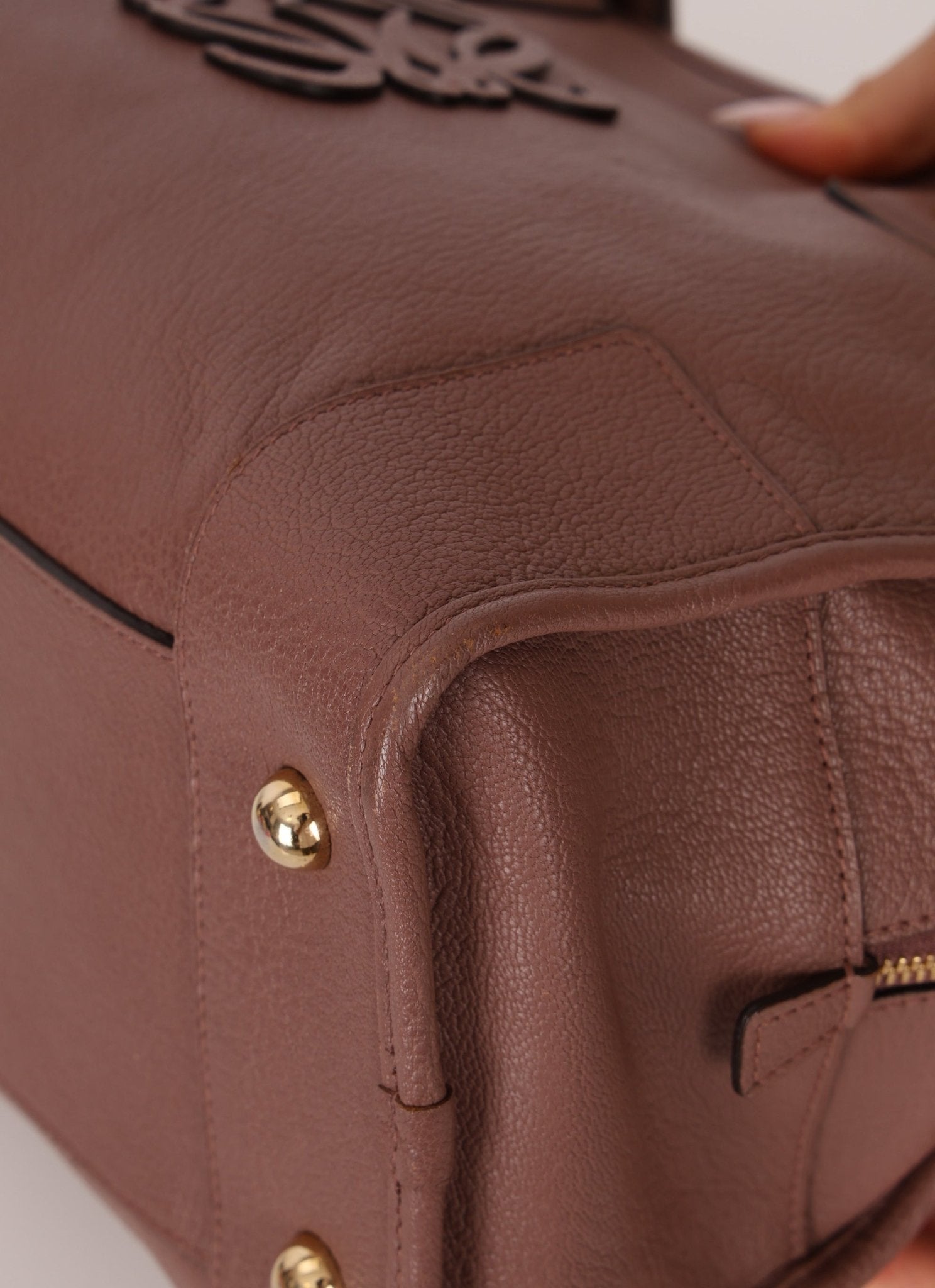 Loewe Mauve Amazona Bag 36 - FashioNica