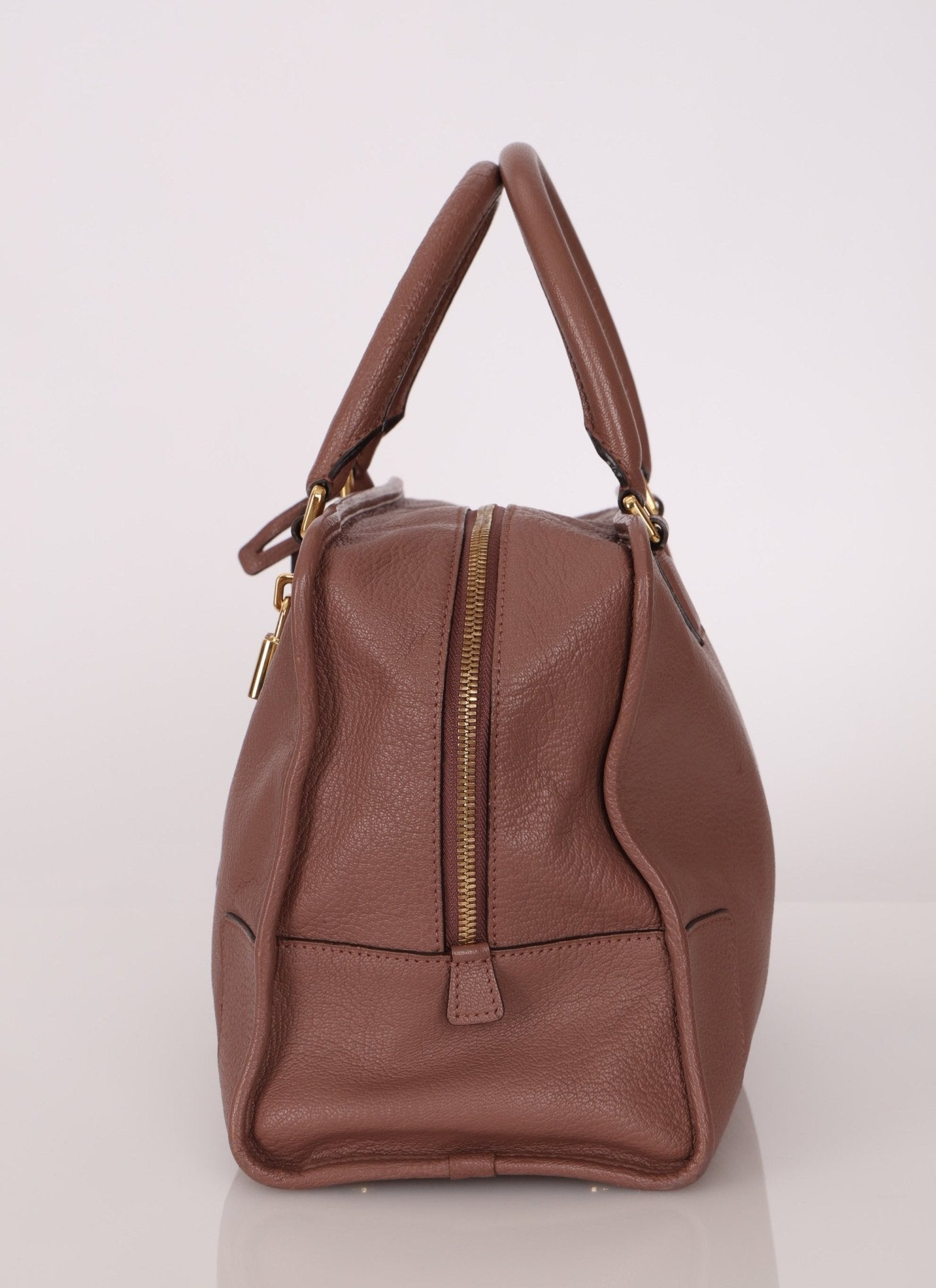 Loewe Mauve Amazona Bag 36 - FashioNica