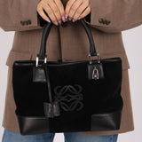 Loewe Suede Amazona Mini Tote - FashioNica