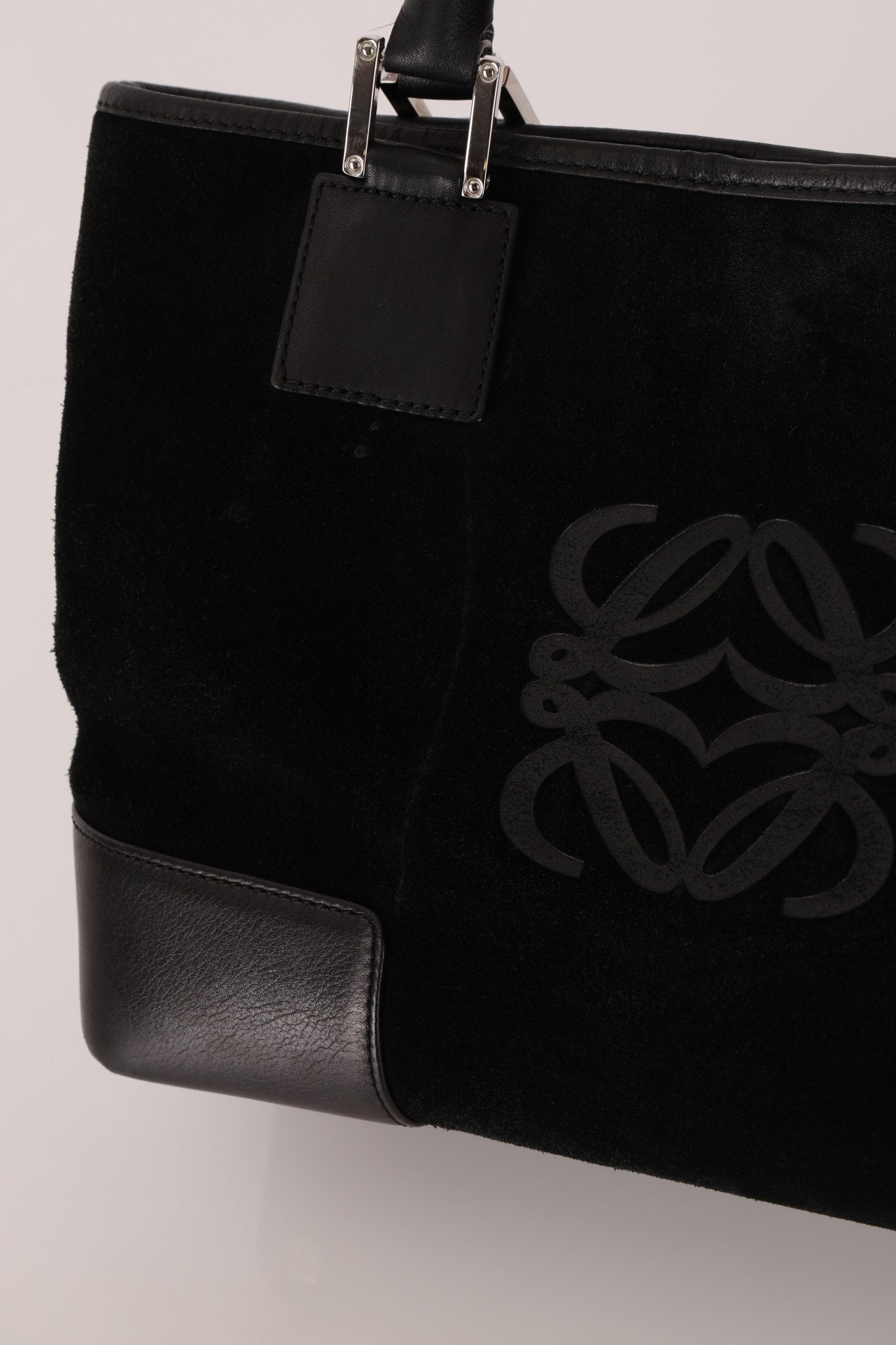 Loewe Suede Amazona Mini Tote - FashioNica