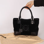 Loewe Suede Amazona Mini Tote - FashioNica
