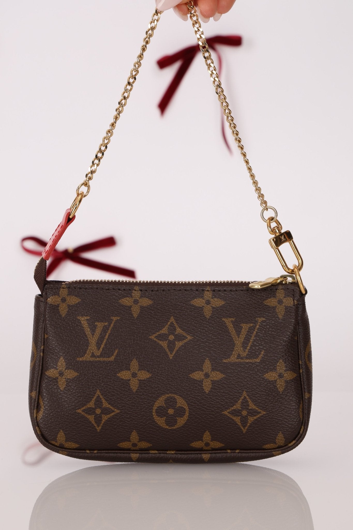 Louis Vuitton 2020 Animation Monogram Vivienne Pochette - FashioNica