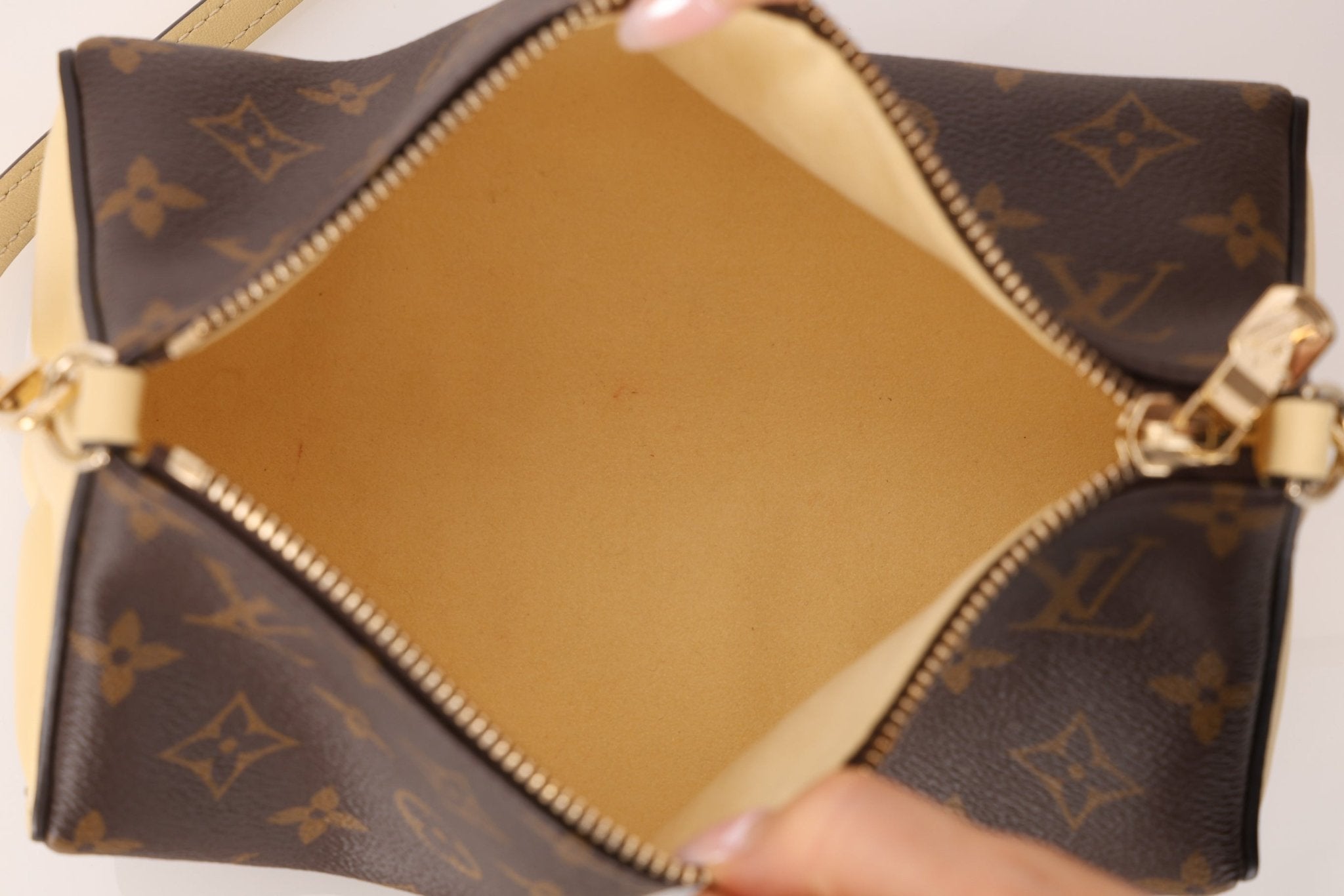 Louis Vuitton Bloom Pouch Bag - FashioNica