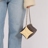 Louis Vuitton Bloom Pouch Bag - FashioNica