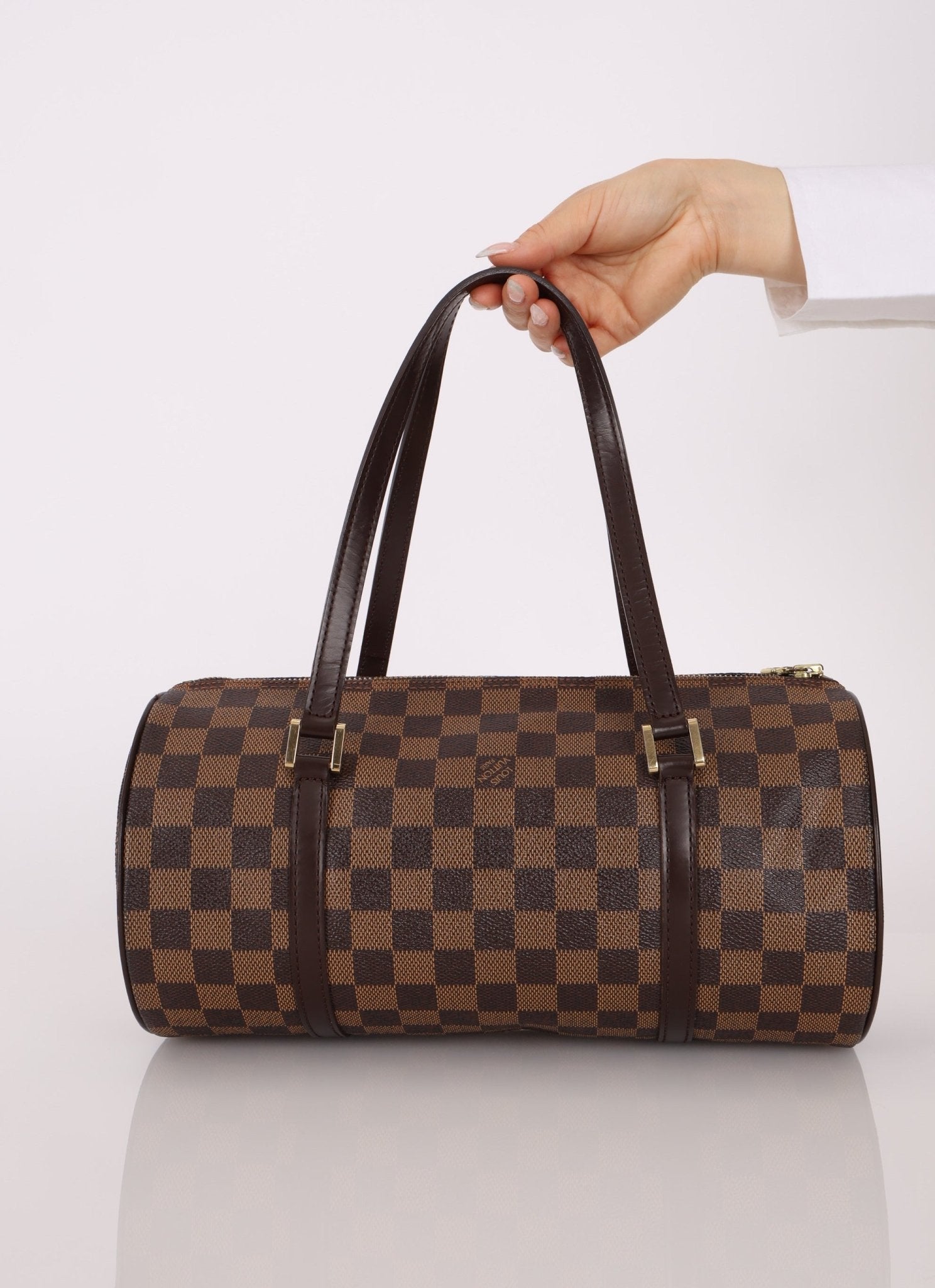 Louis Vuitton Damier Ebene Papillon 30 & Mini Papillon Set - FashioNica