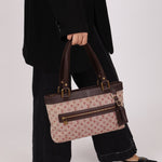 Louis Vuitton Mini Lin Lucille PM - FashioNica