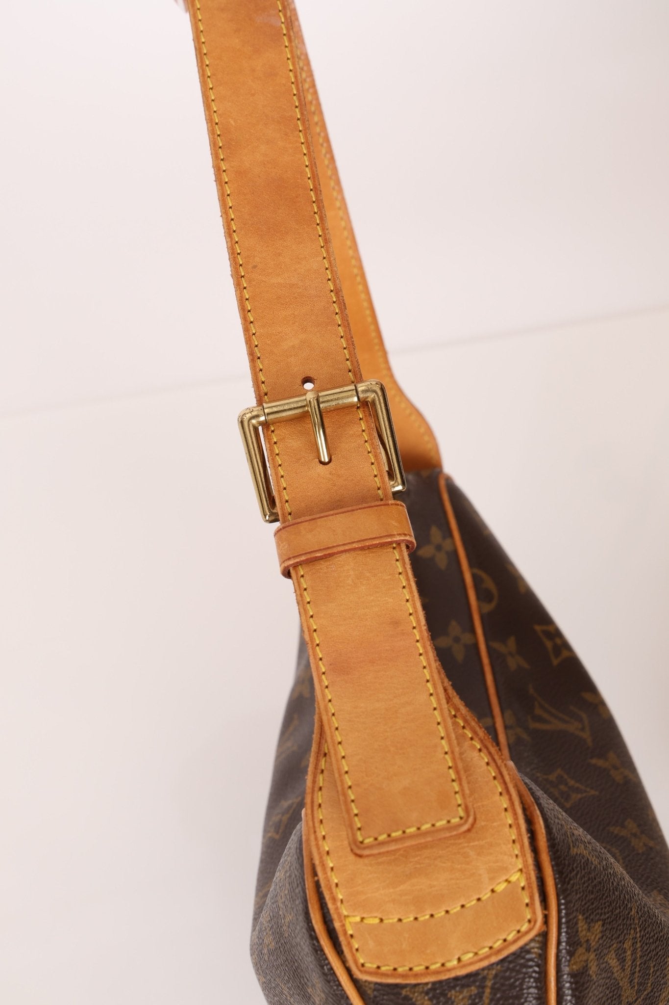 Louis Vuitton Monogram Croissant Shoulder Bag - FashioNica