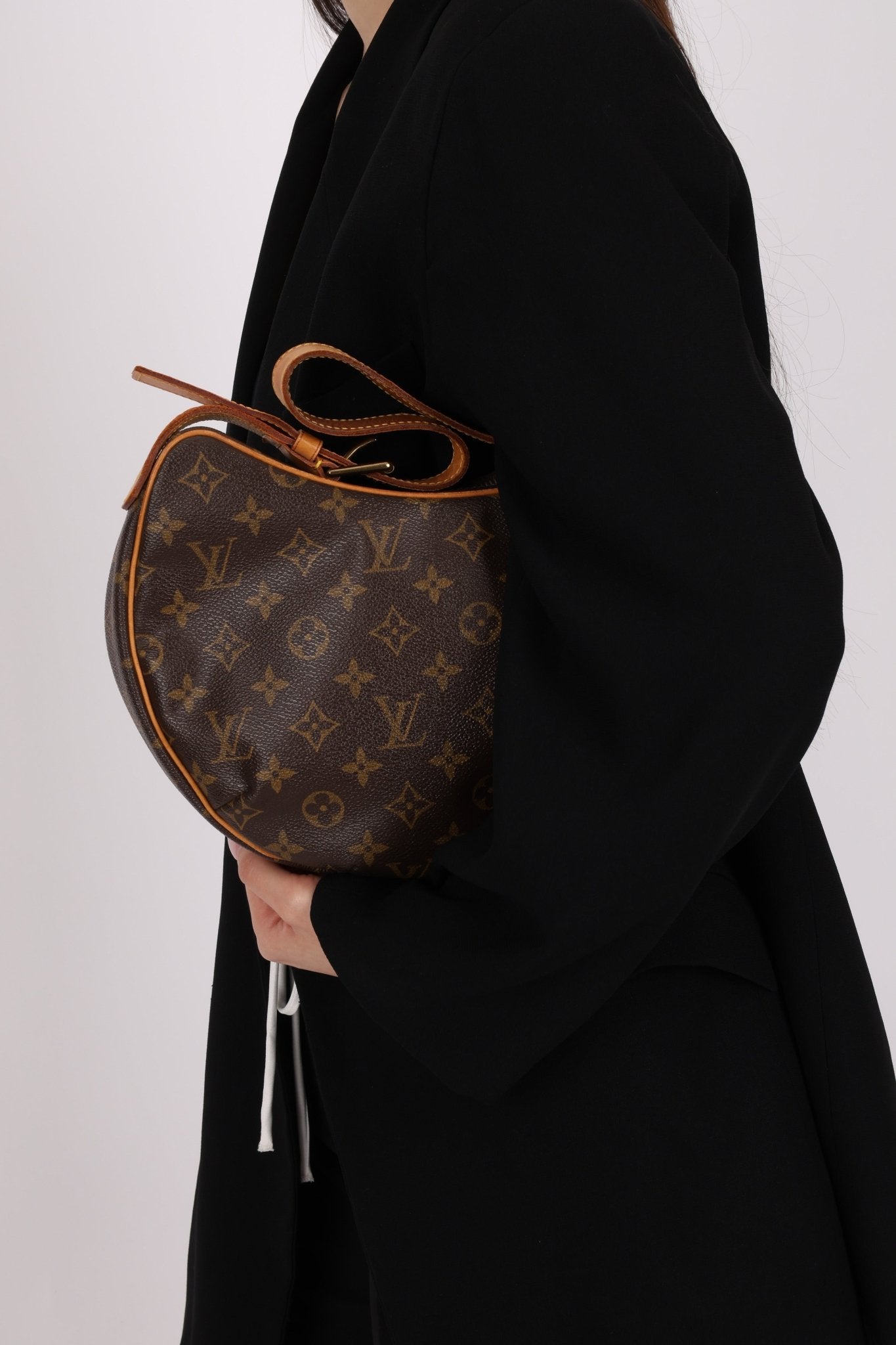 Louis Vuitton Monogram Croissant Shoulder Bag - FashioNica