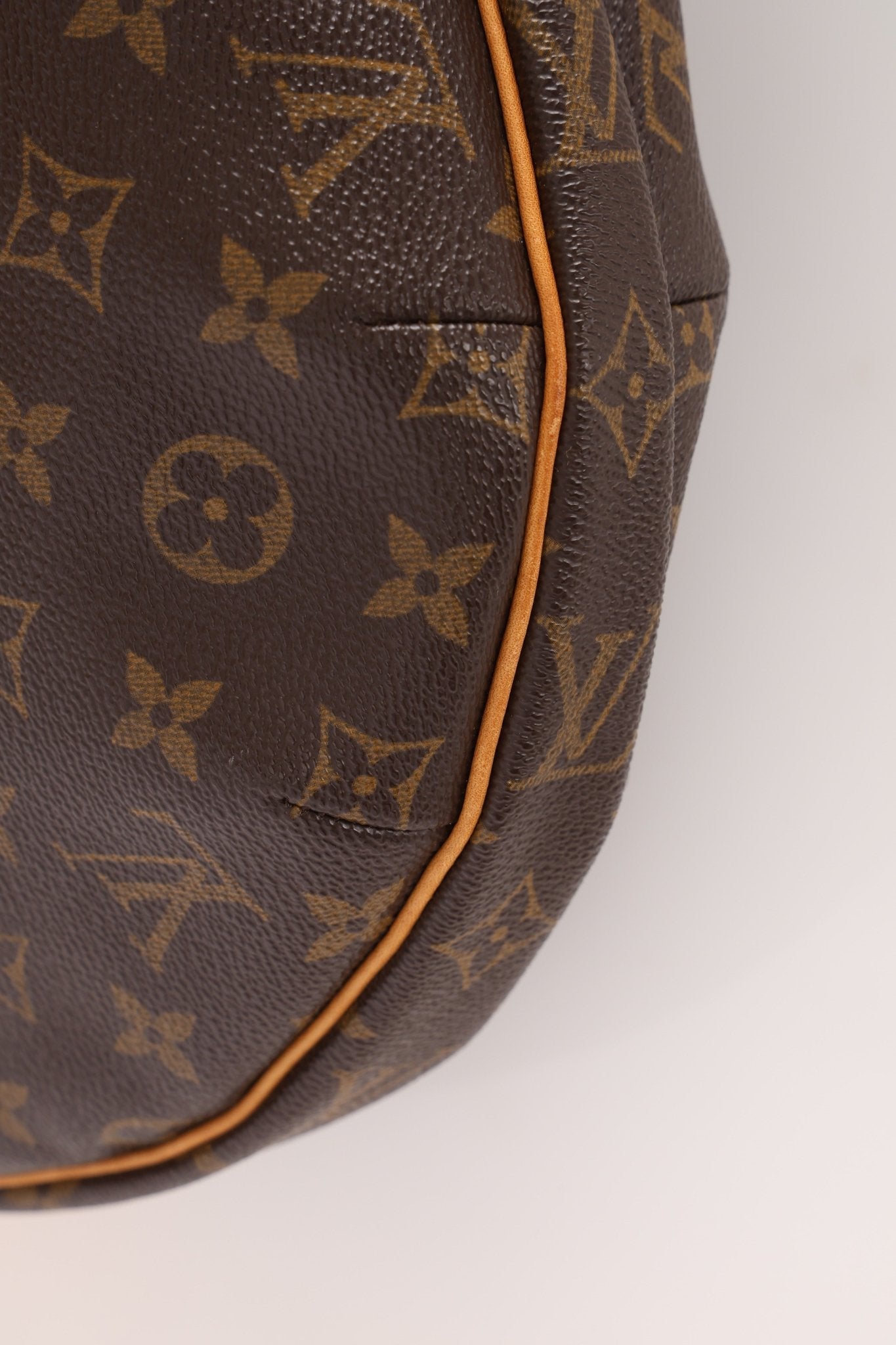 Louis Vuitton Monogram Croissant Shoulder Bag - FashioNica