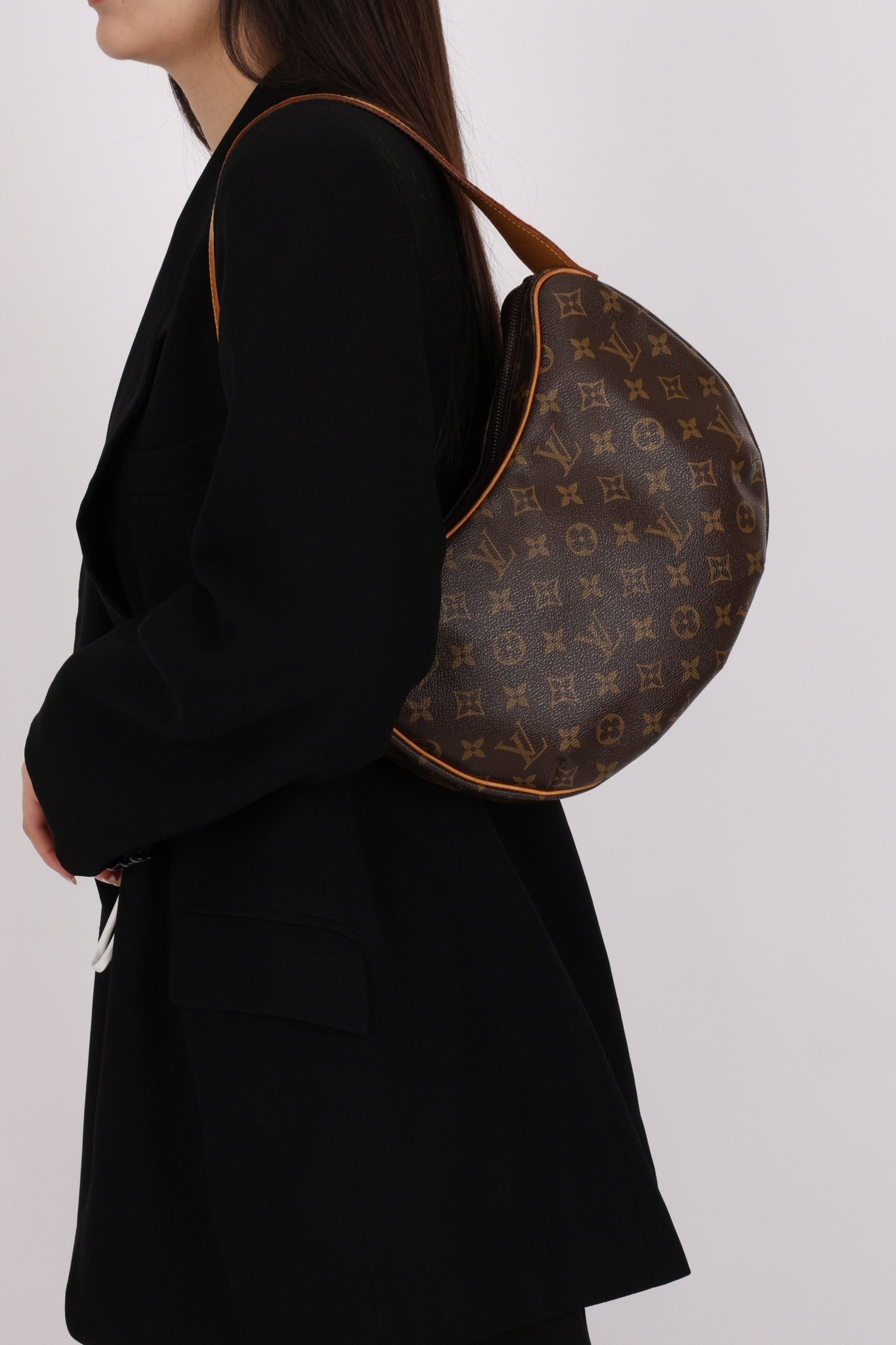 Louis Vuitton Monogram Croissant Shoulder Bag - FashioNica