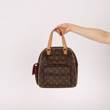 Louis Vuitton Monogram Excentri - Cite Bag - FashioNica