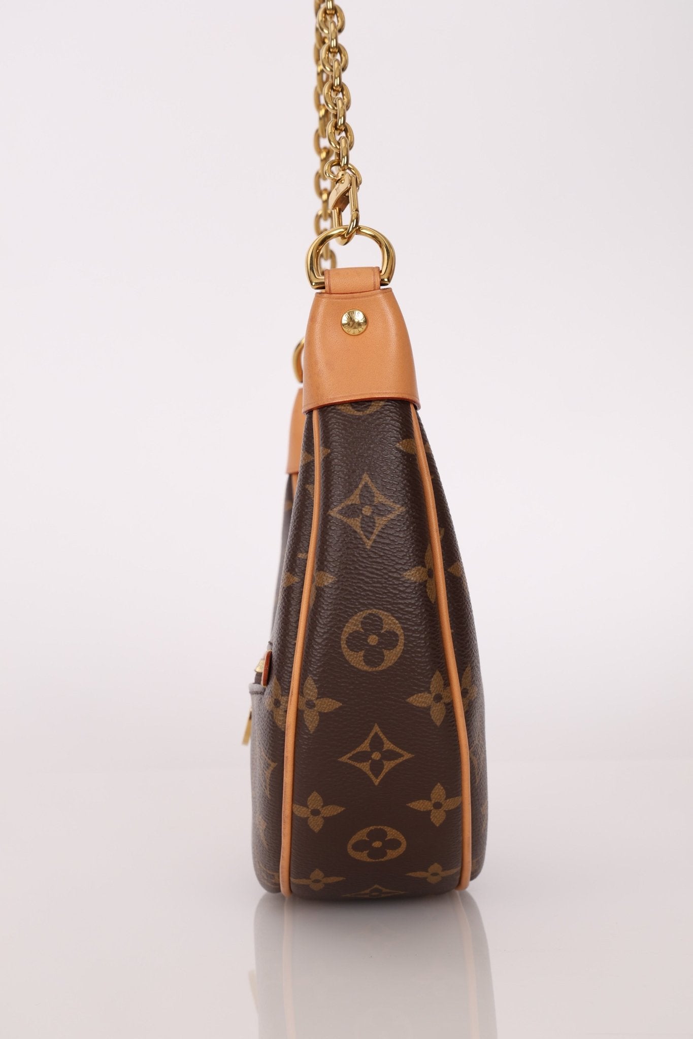 Louis Vuitton Monogram Loop Crossbody Bag - FashioNica