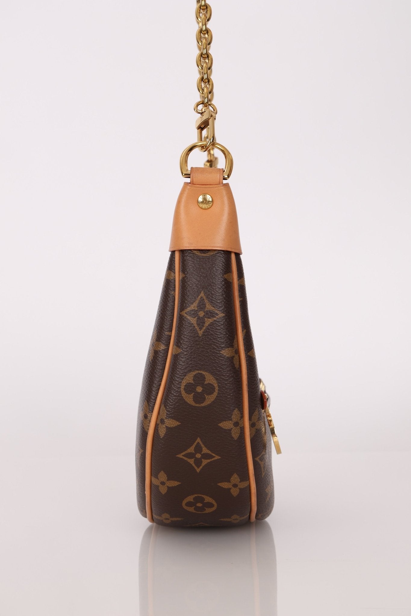 Louis Vuitton Monogram Loop Crossbody Bag - FashioNica