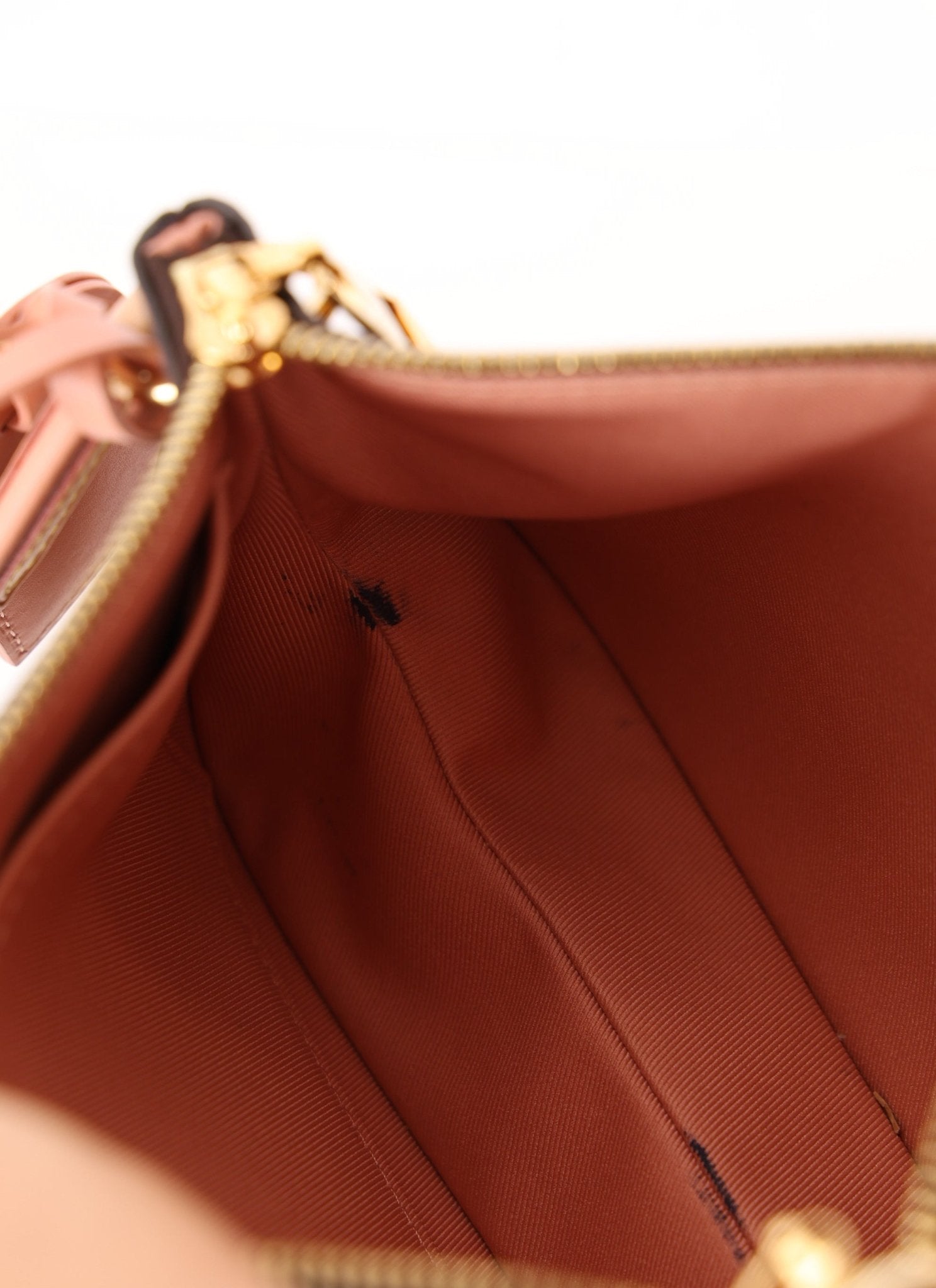 Louis Vuitton Monogram Lorette Crossbody - FashioNica