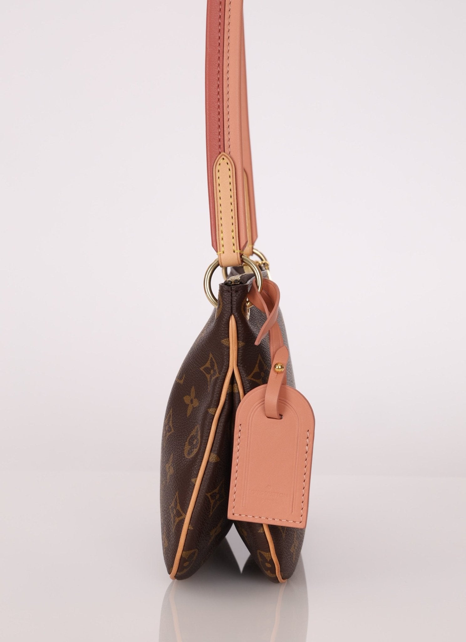 Louis Vuitton Monogram Lorette Crossbody - FashioNica