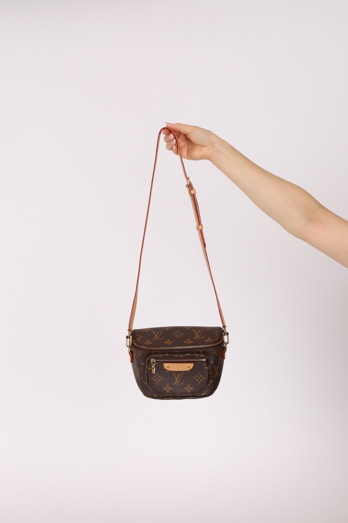 Louis Vuitton Monogram Mini Bum Bag - FashioNica