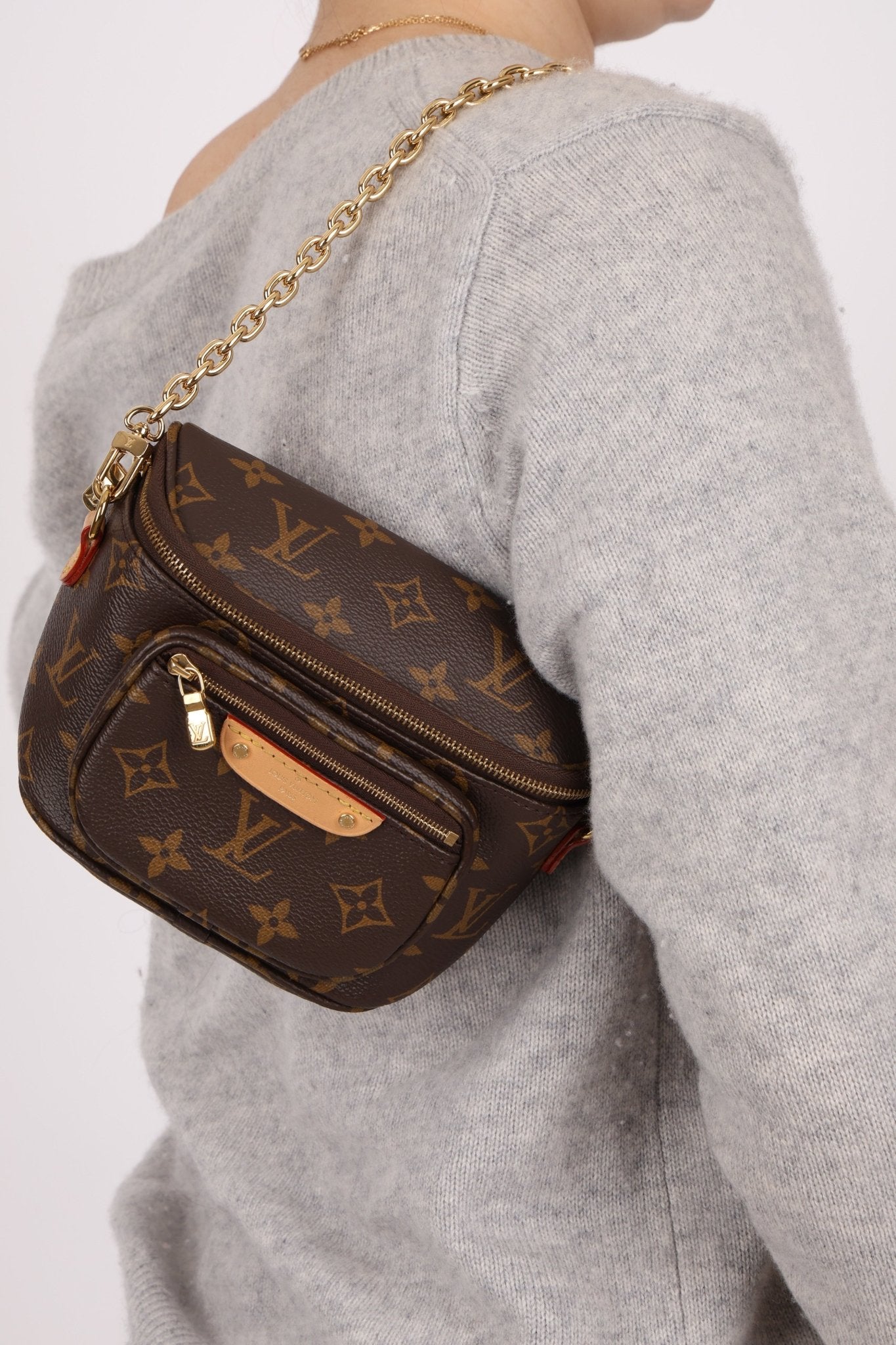 Louis Vuitton Monogram Mini Bum Bag - FashioNica