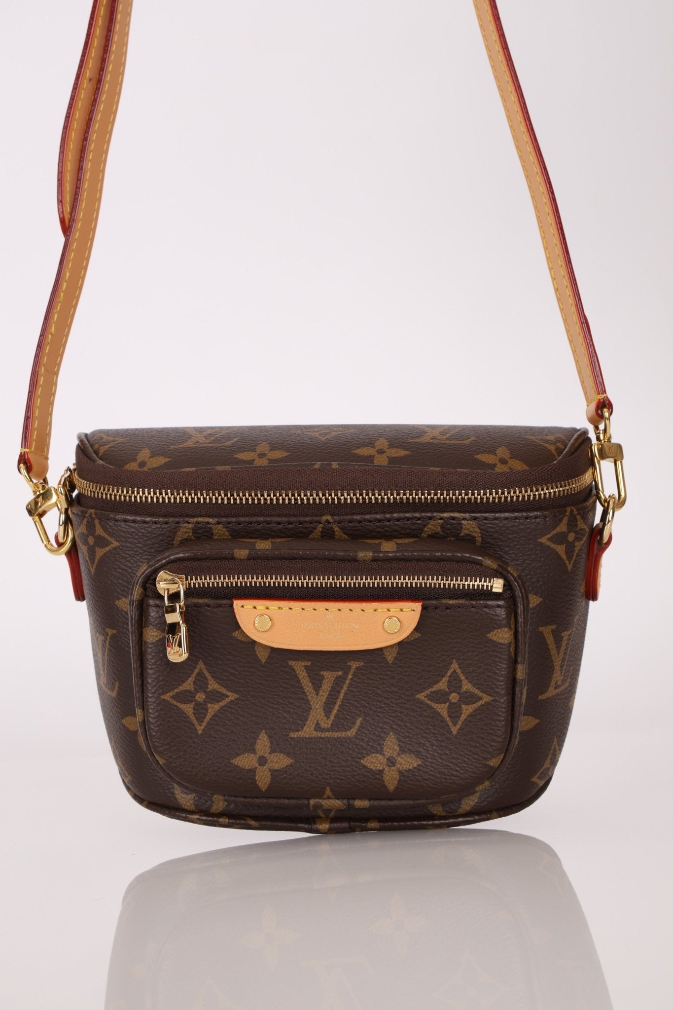 Louis Vuitton Monogram Mini Bum Bag - FashioNica