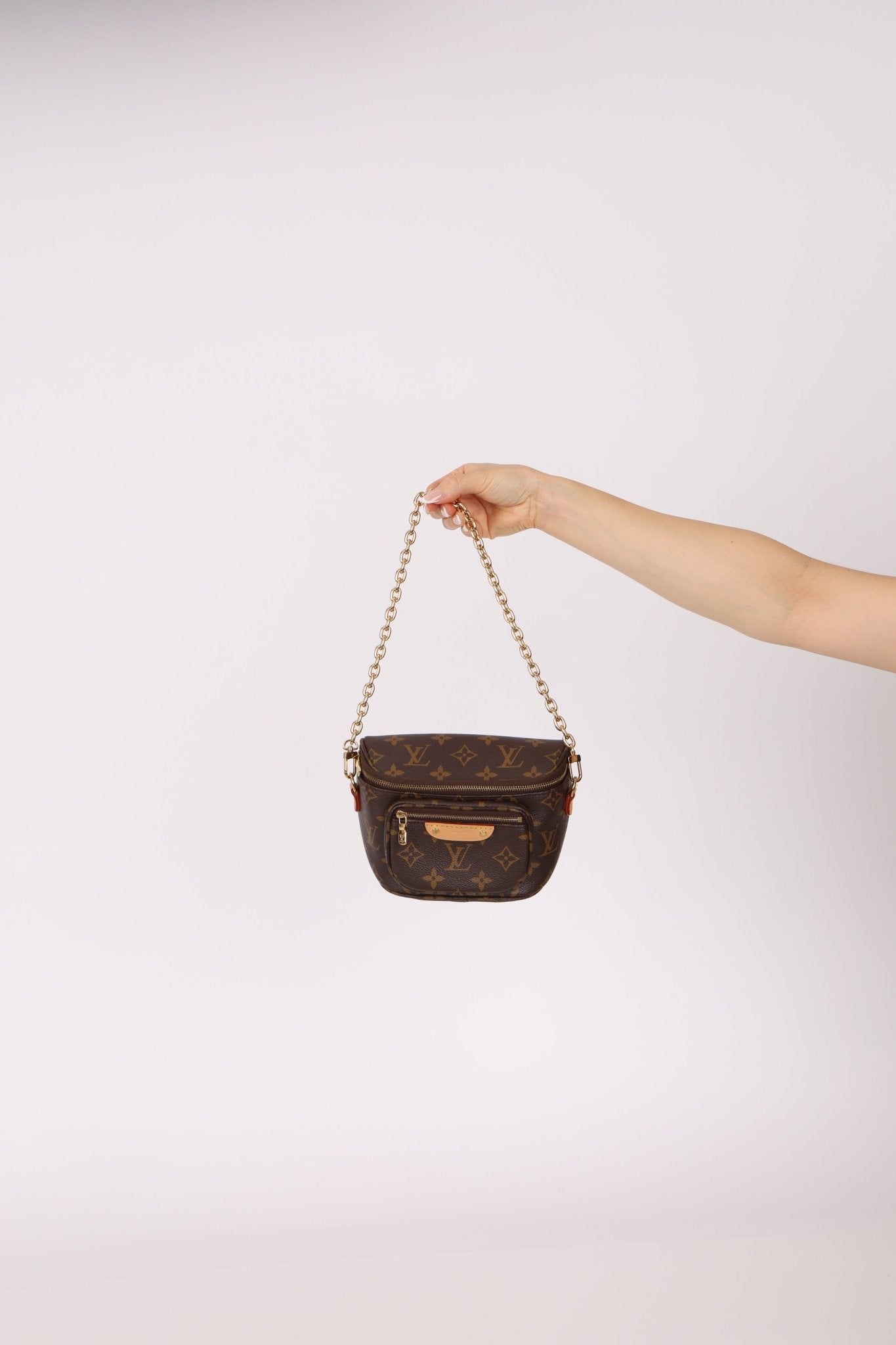 Louis Vuitton Monogram Mini Bum Bag - FashioNica