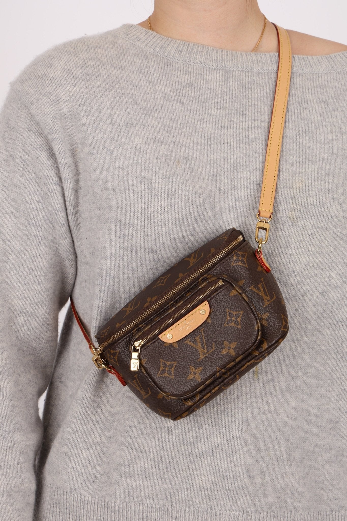 Louis Vuitton Monogram Mini Bum Bag - FashioNica