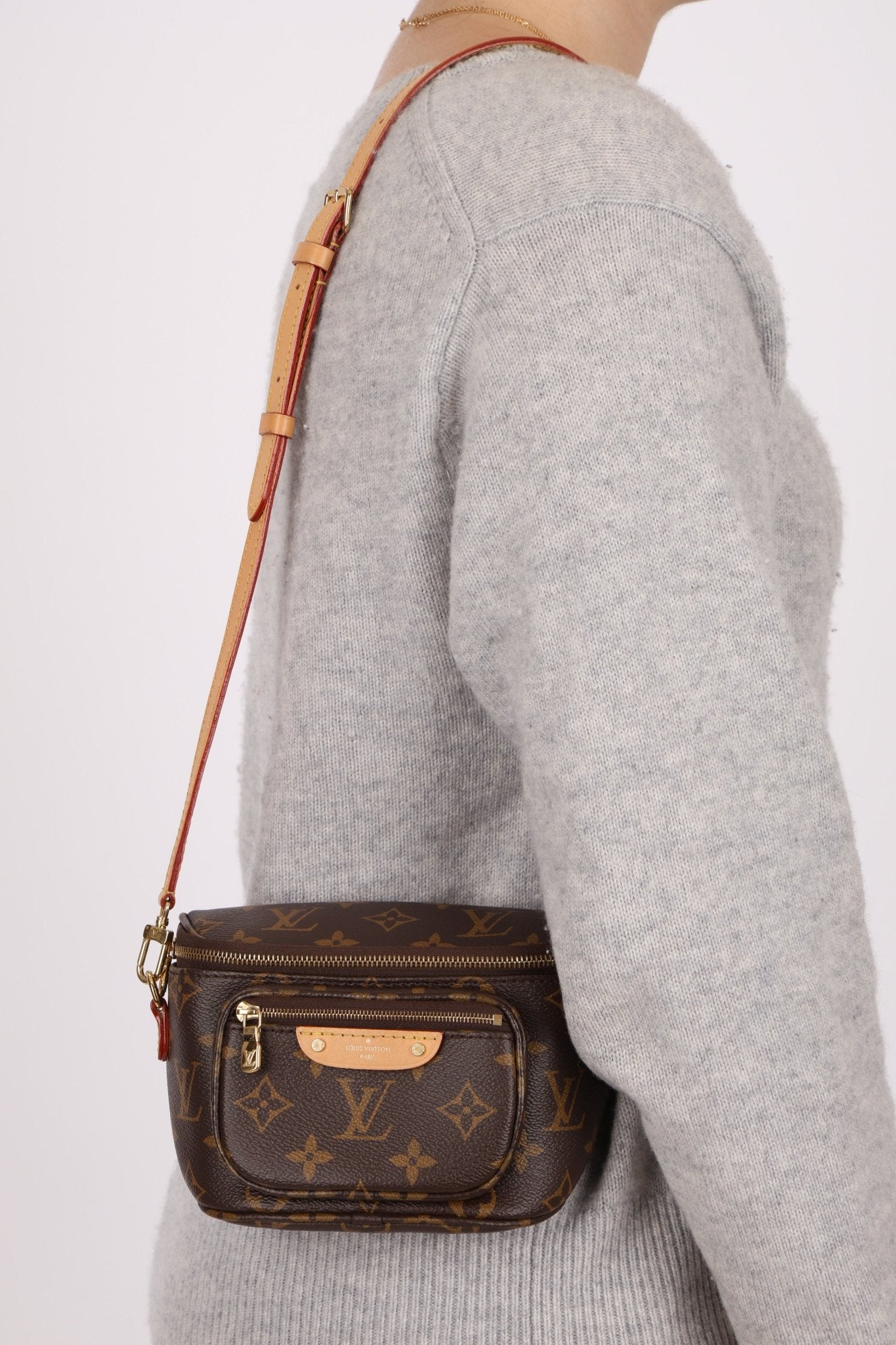Louis Vuitton Monogram Mini Bum Bag - FashioNica