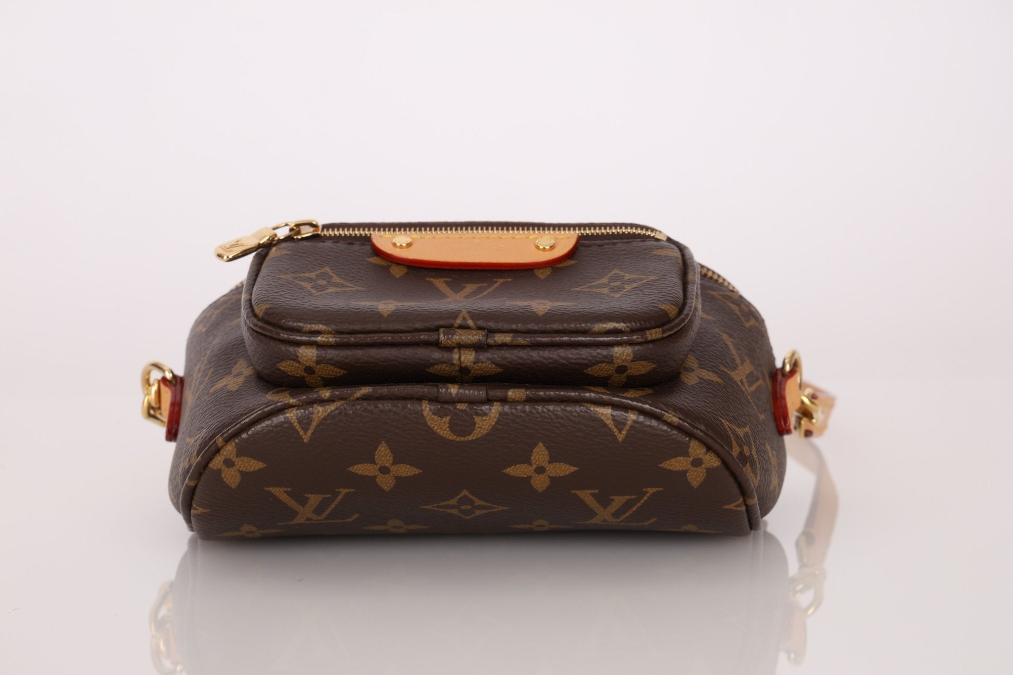 Louis Vuitton Monogram Mini Bum Bag - FashioNica